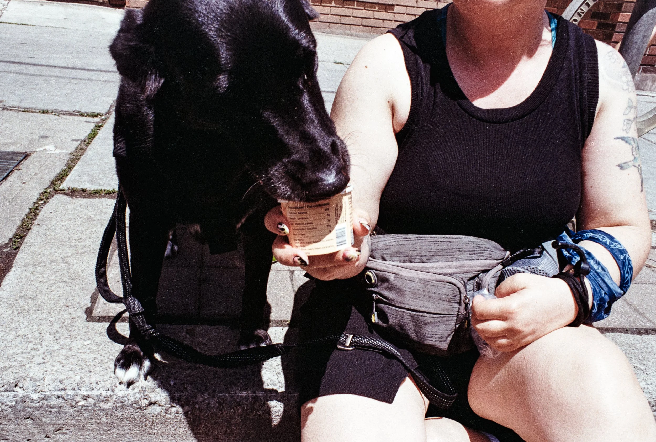 Image (16).jpg