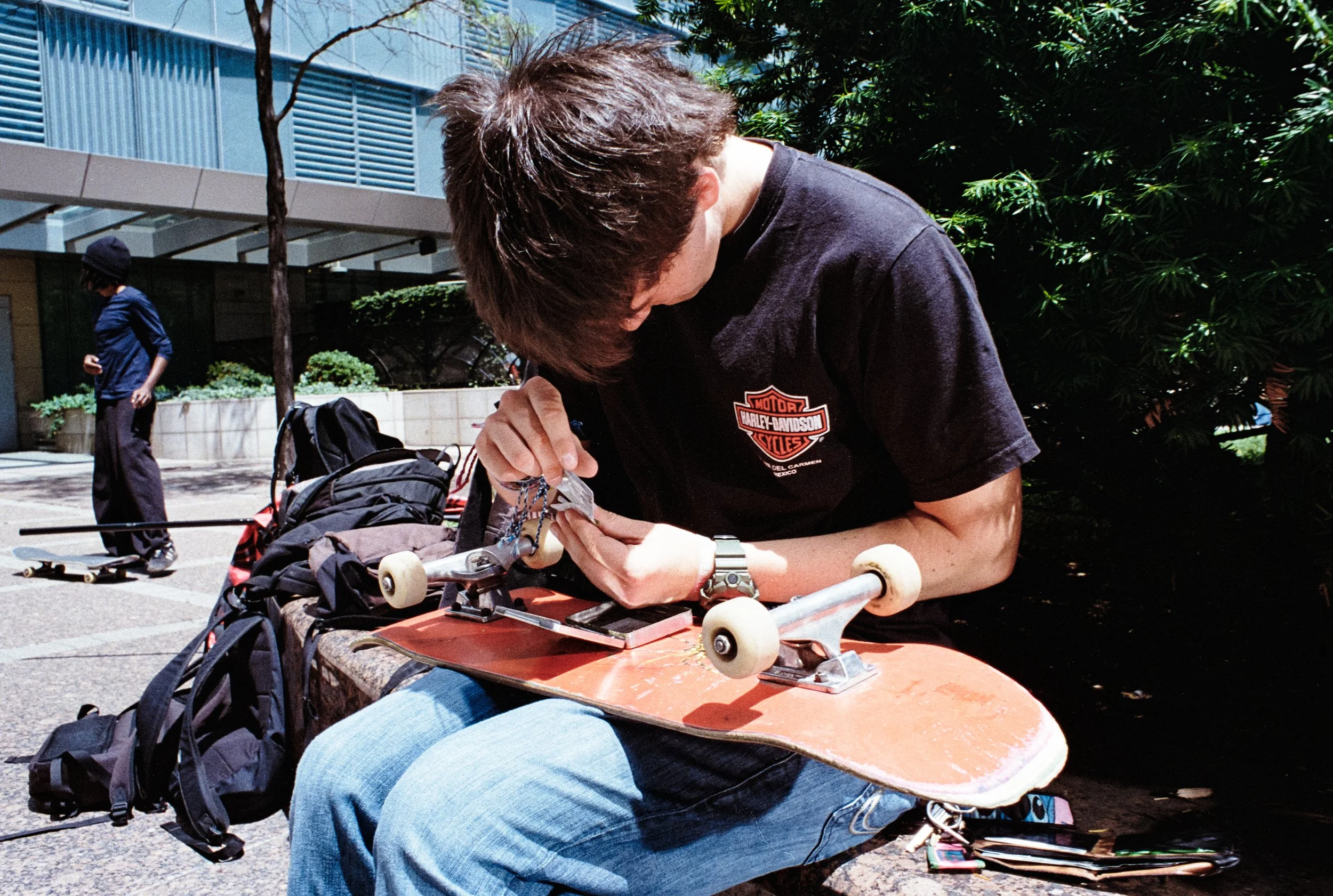 Image (14).jpg