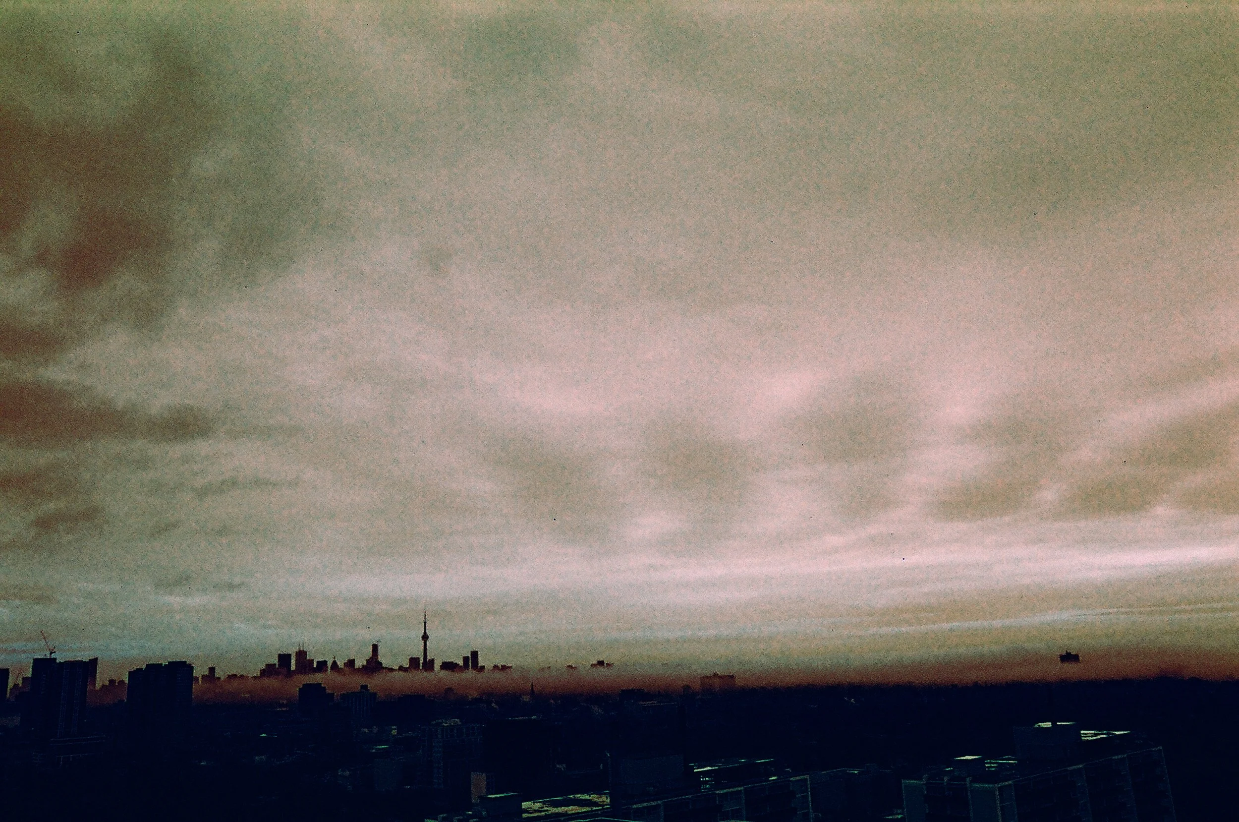 00500020-2.jpg