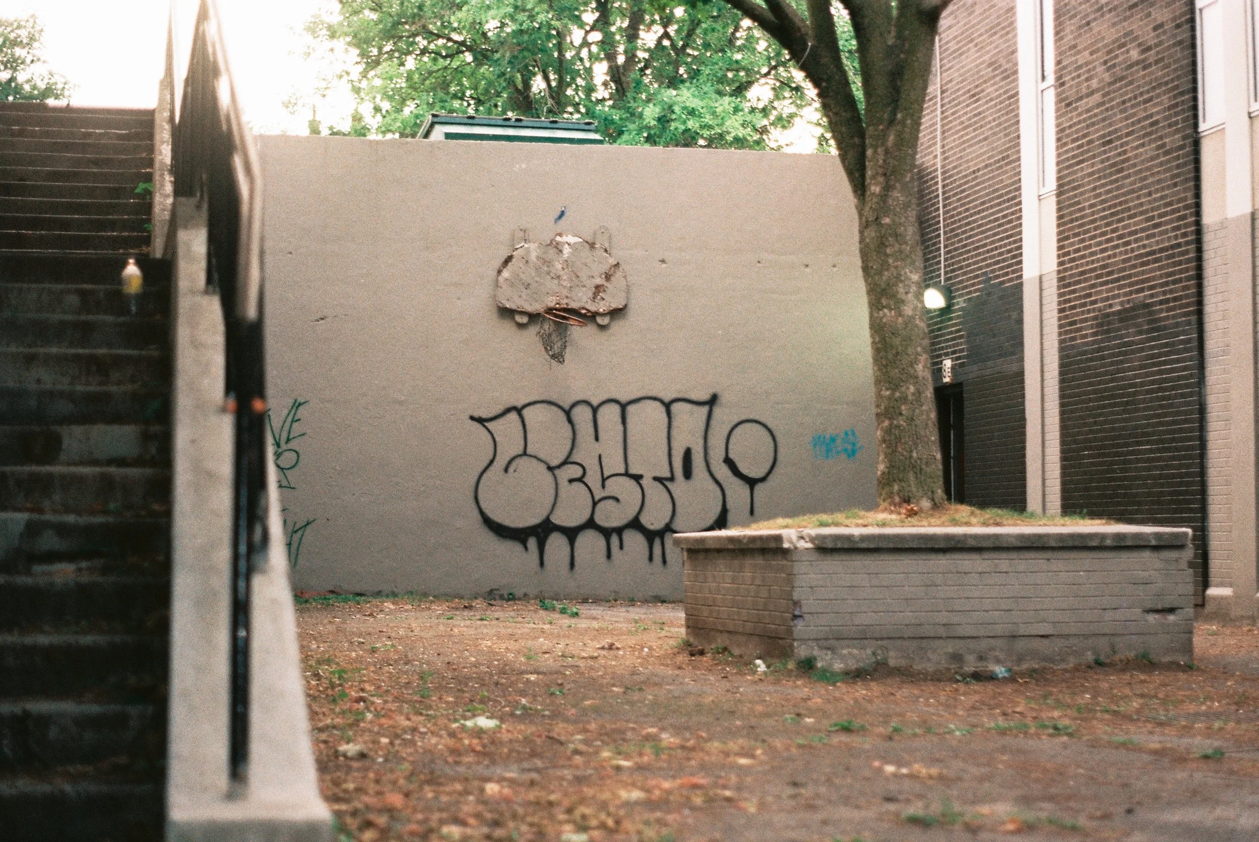 3 July35mm23.jpg