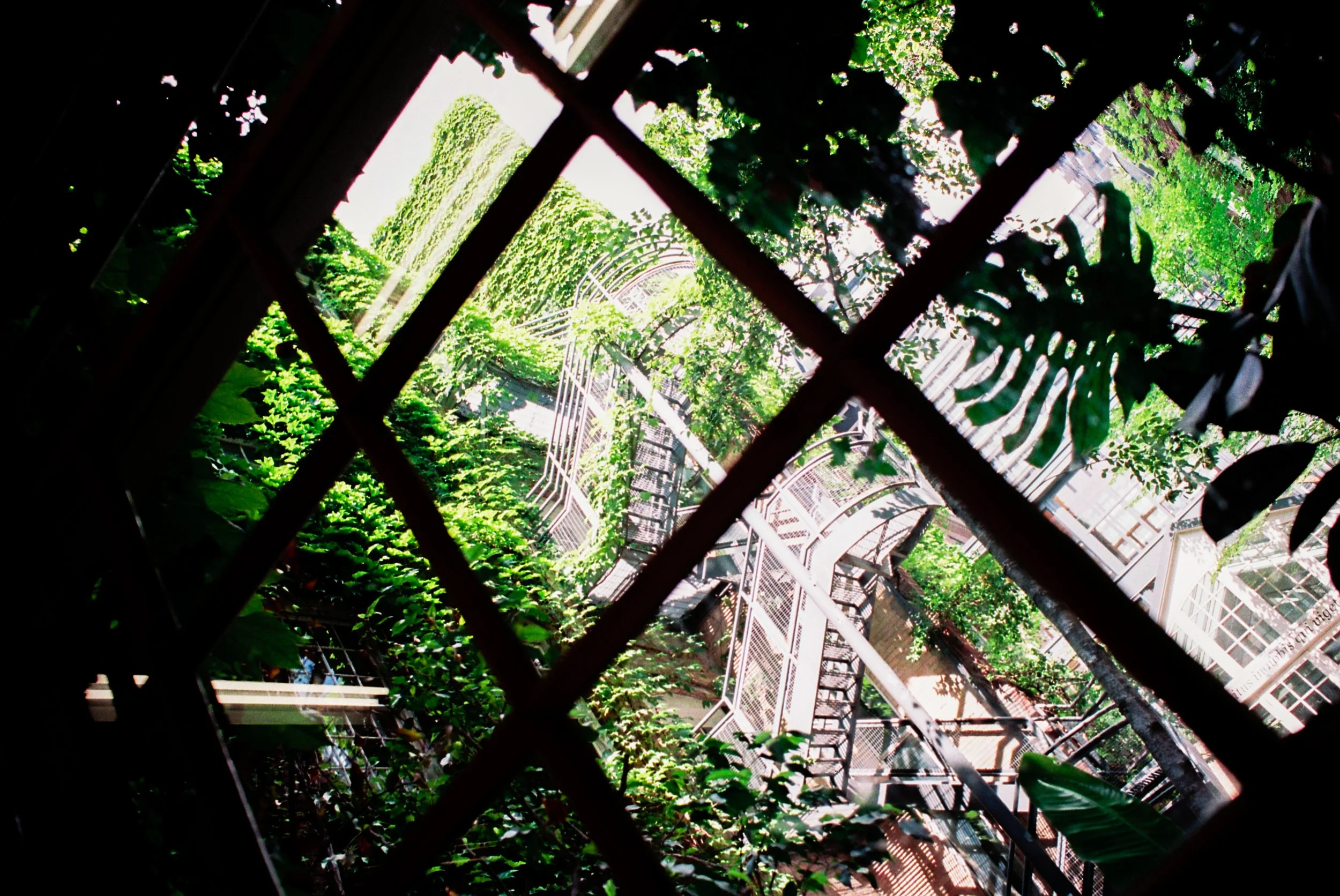 13 July35mm14.jpg