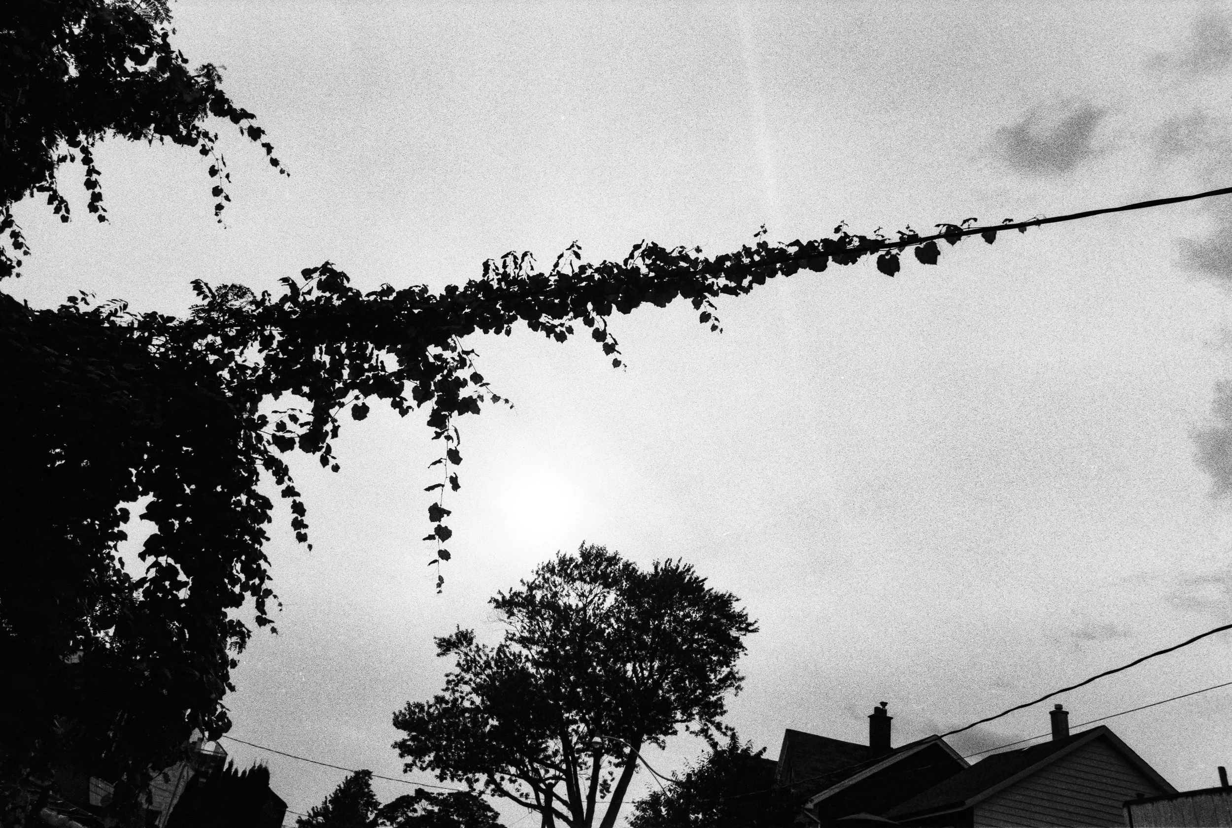 20 Aug35mm_18.jpg