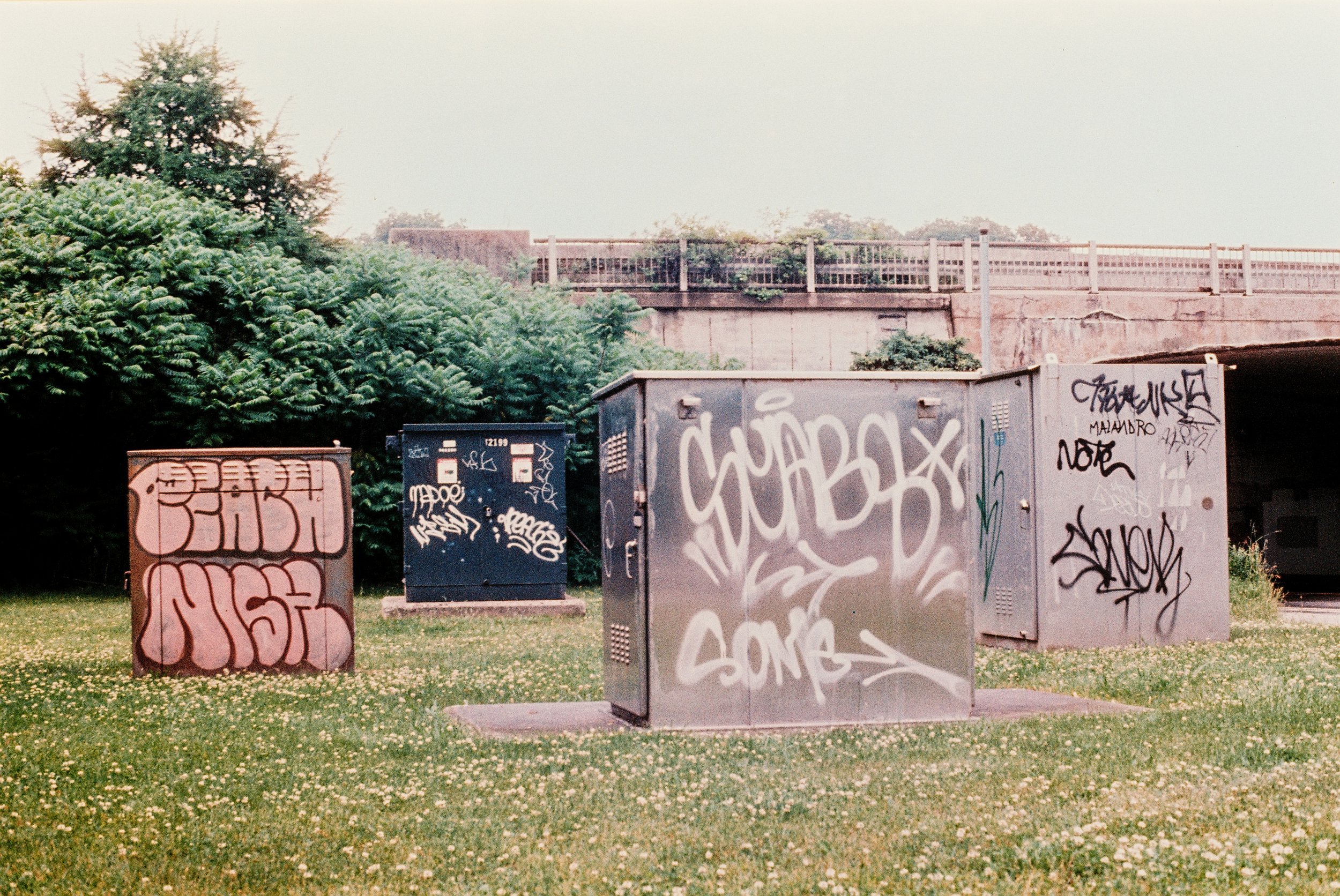 4 june35mm68.jpg