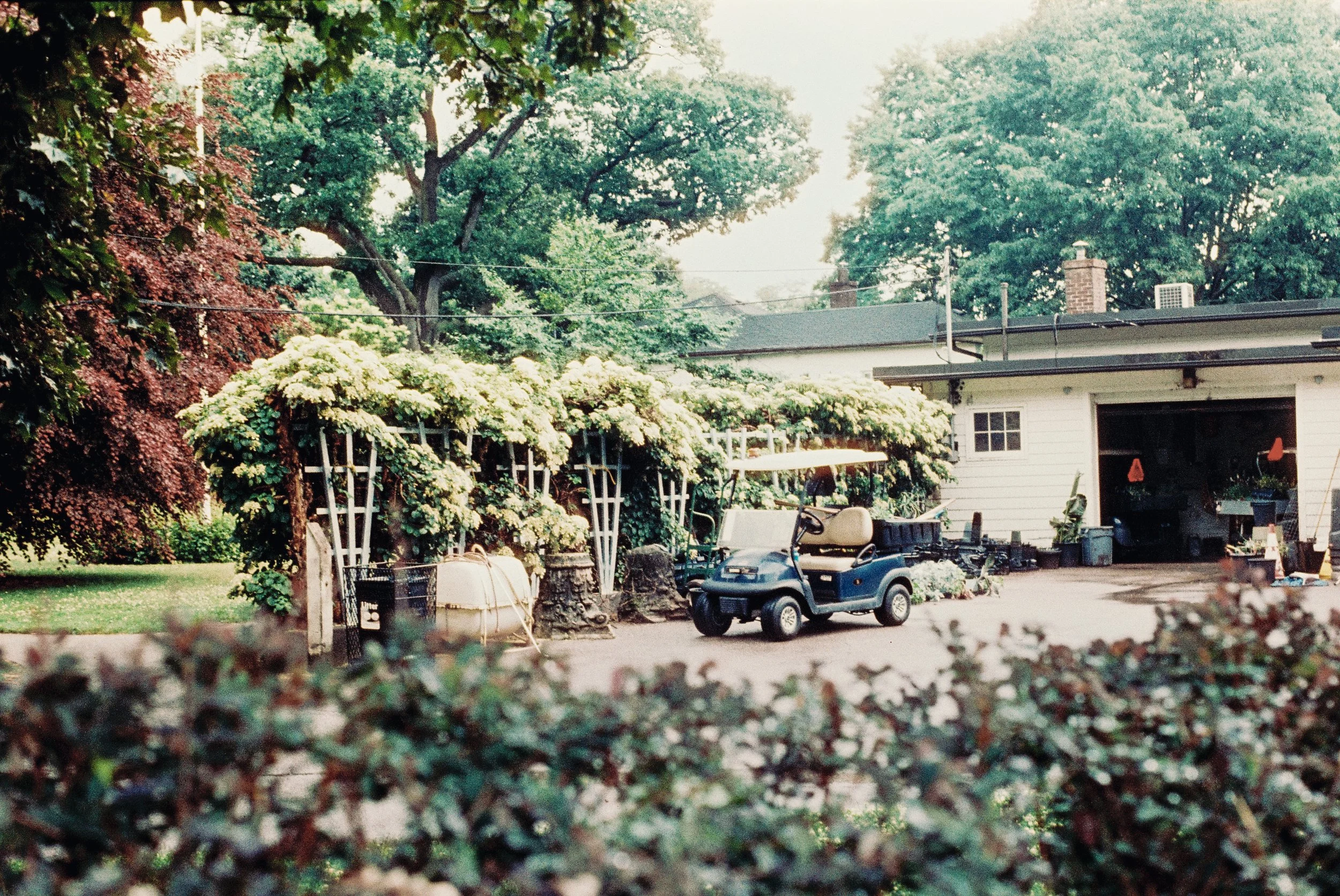 4 june35mm60.jpg