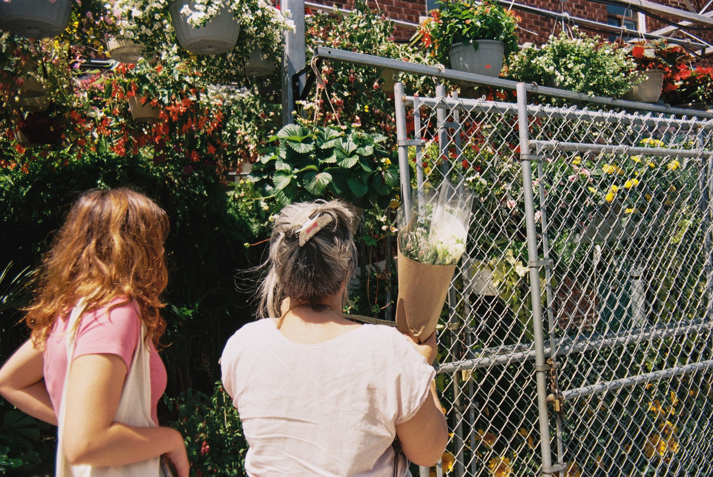 11 june35mm4.jpg