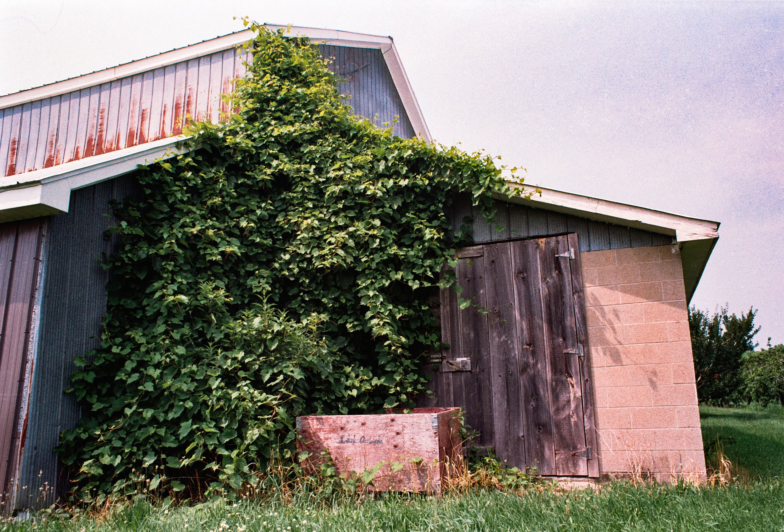 Image (19).jpg