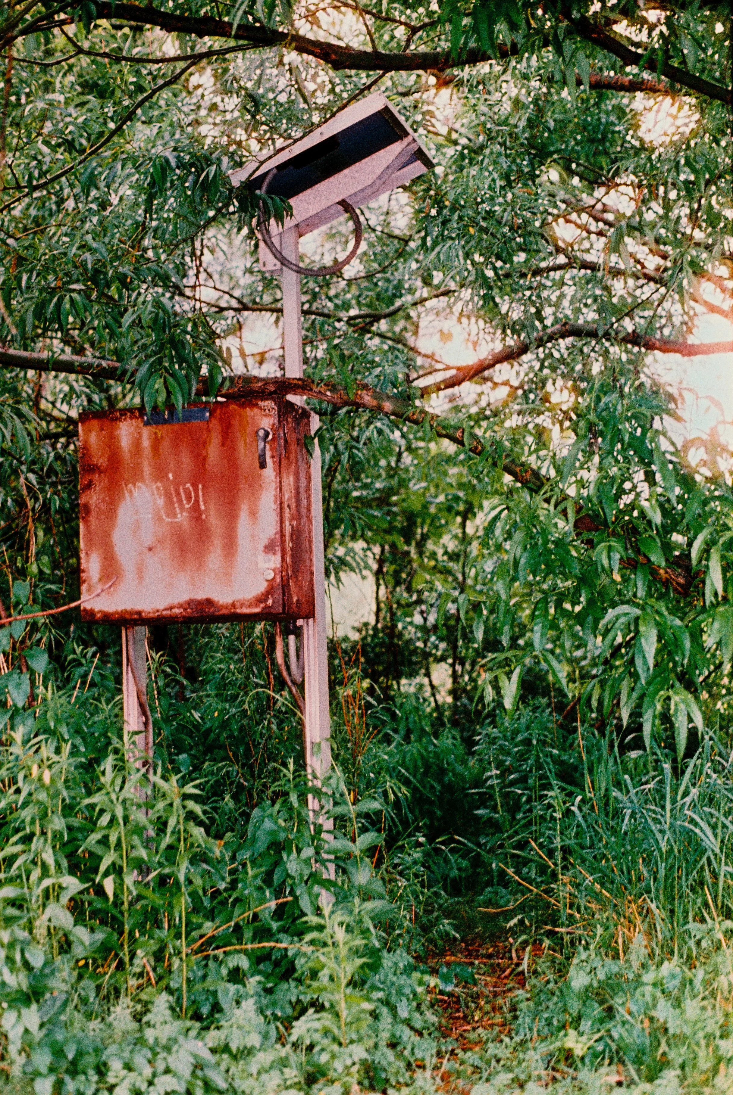 4 june35mm67.jpg