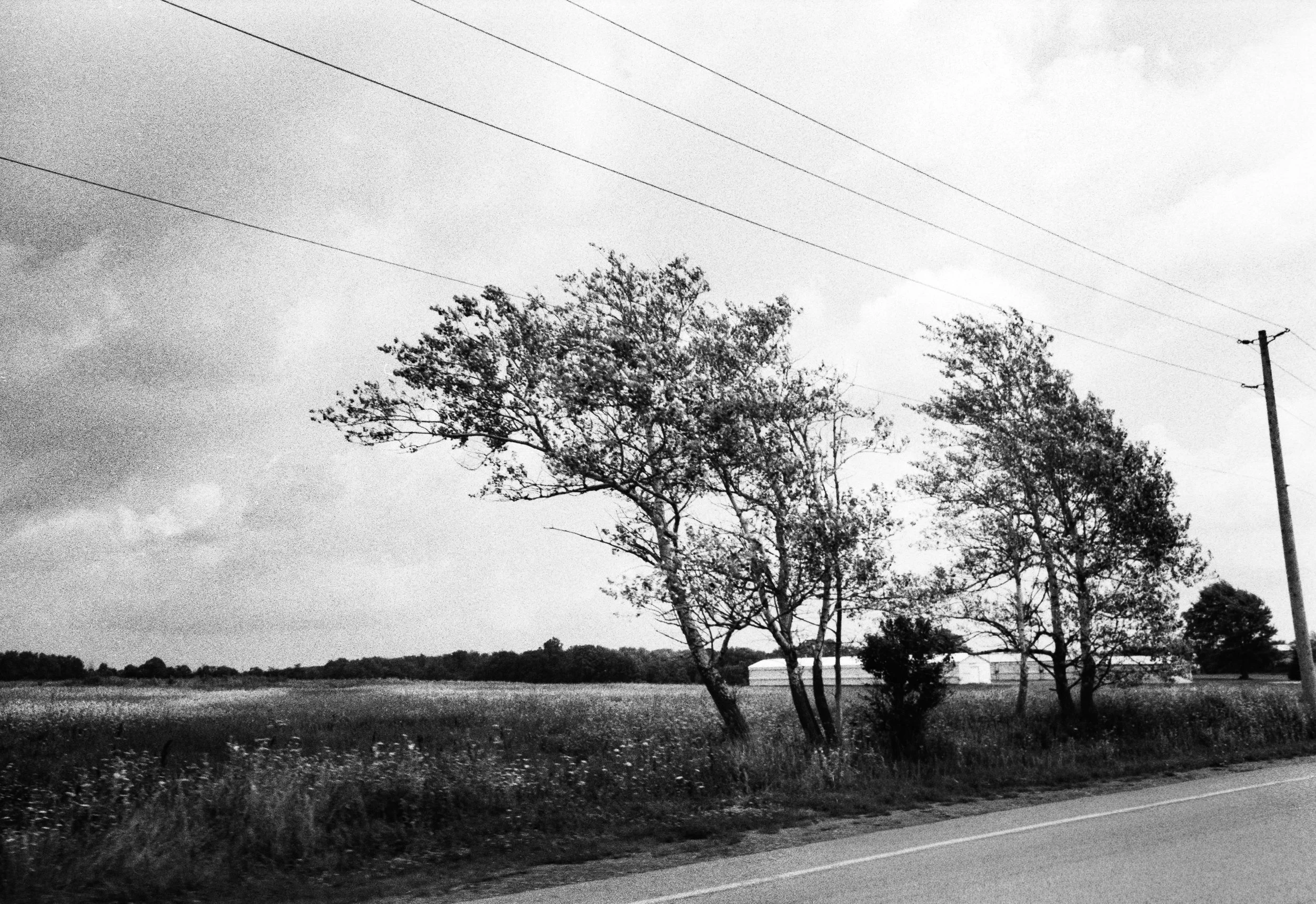 3 Aug35mm_5.jpg