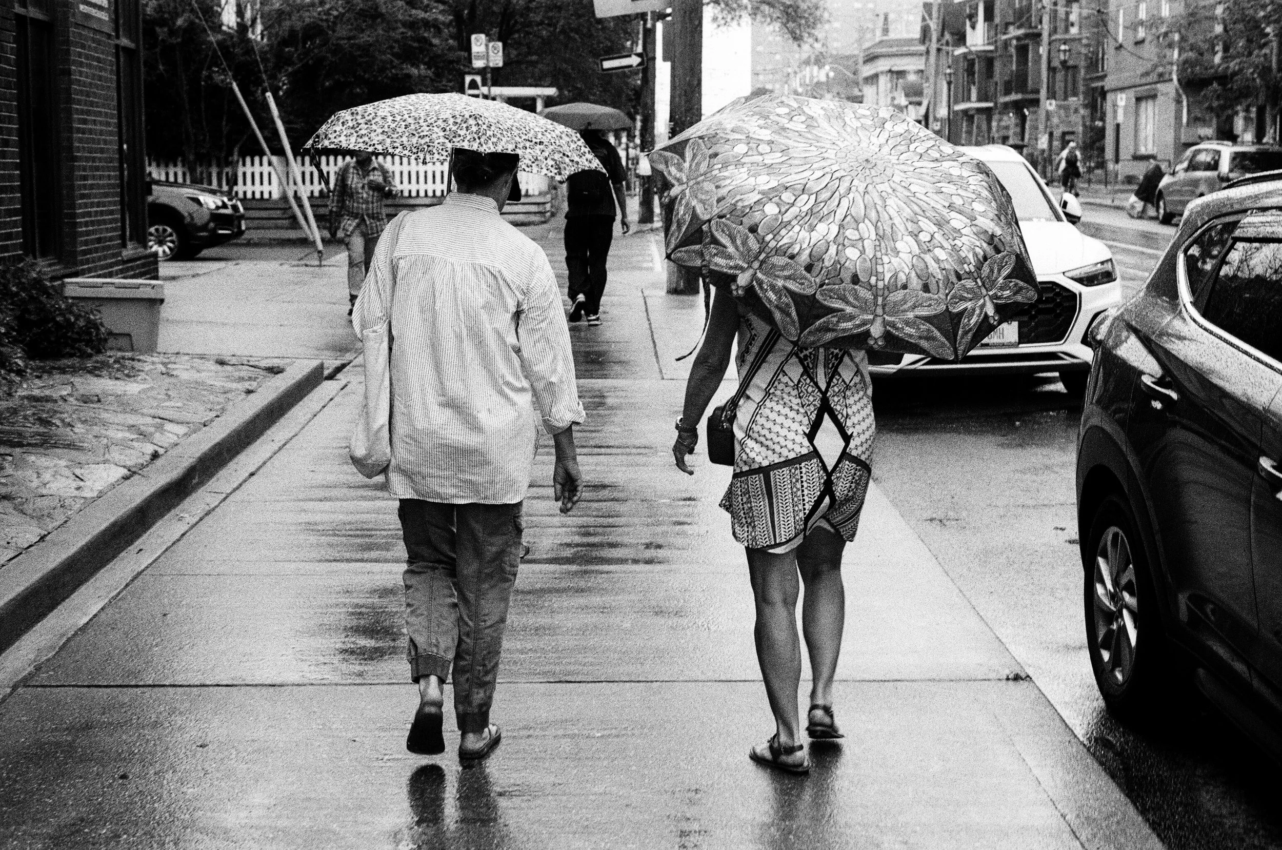 5 june35mm97.jpg
