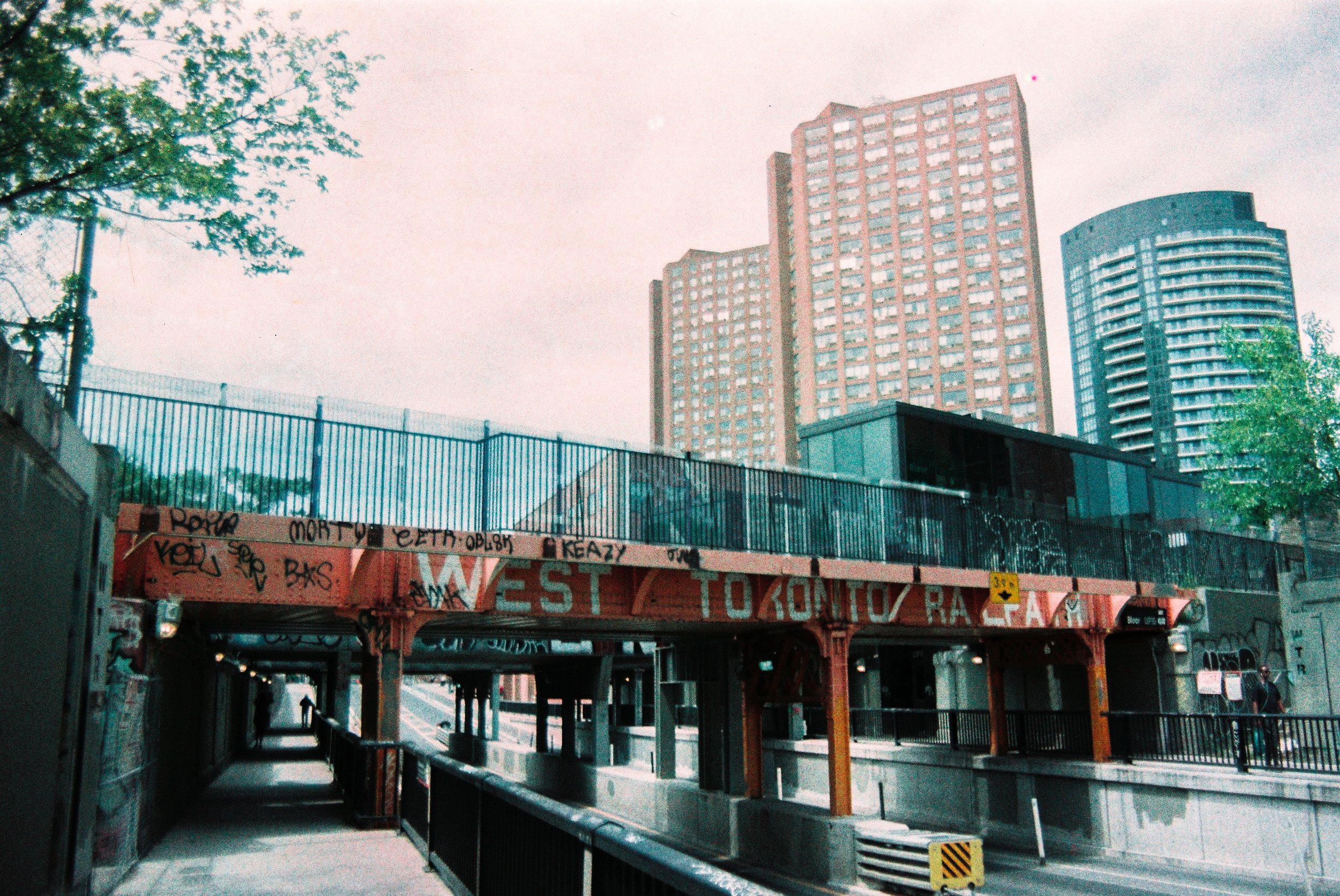3 june35mm25.jpg