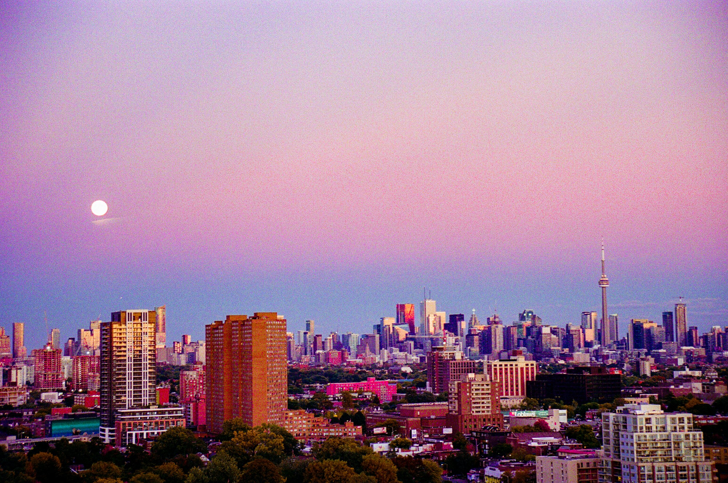 81160011-3.jpg