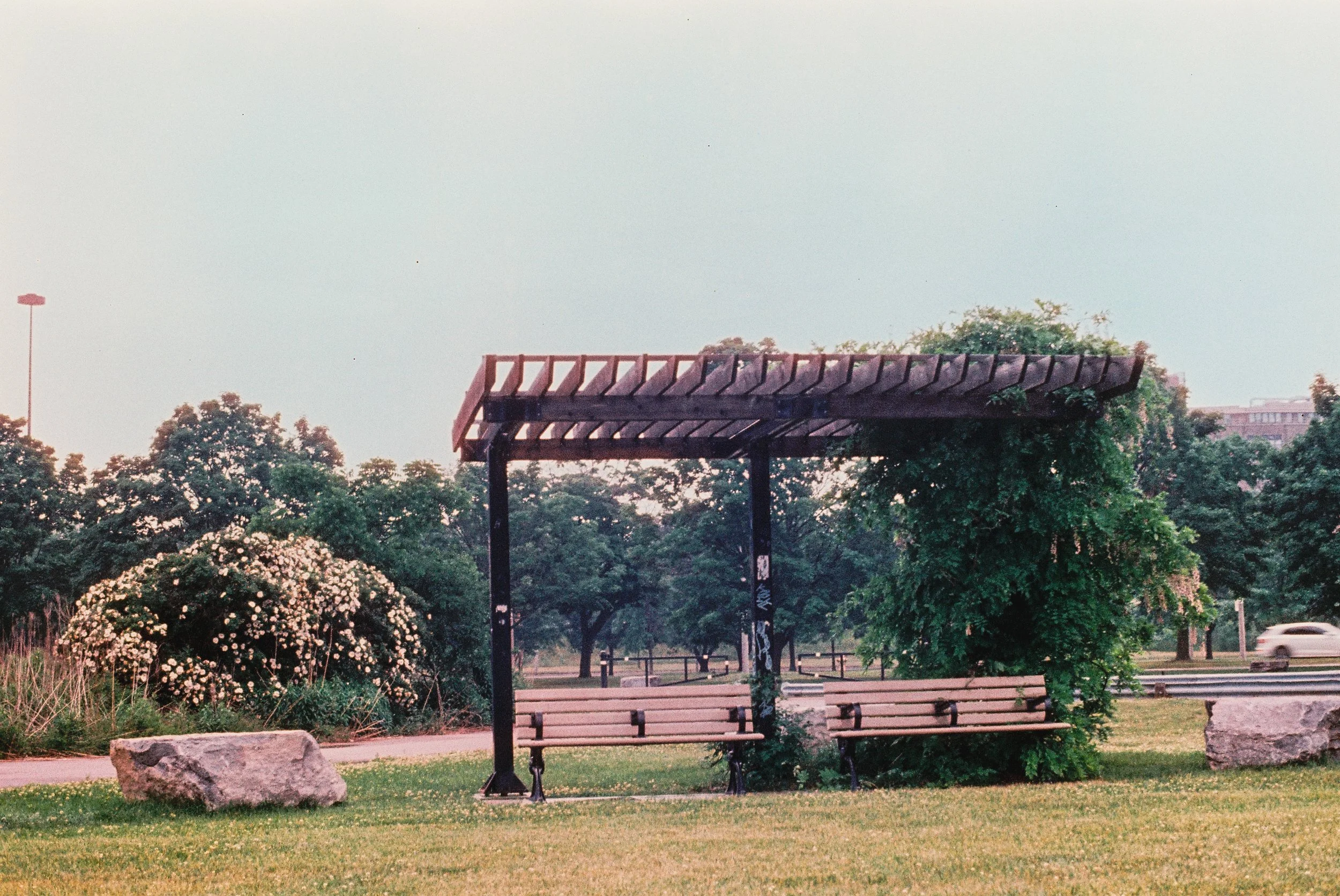 4 june35mm72.jpg