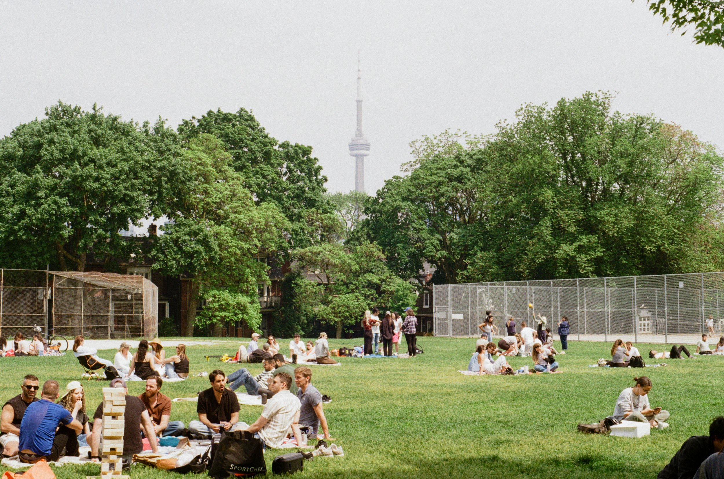1 june35mm1.jpg