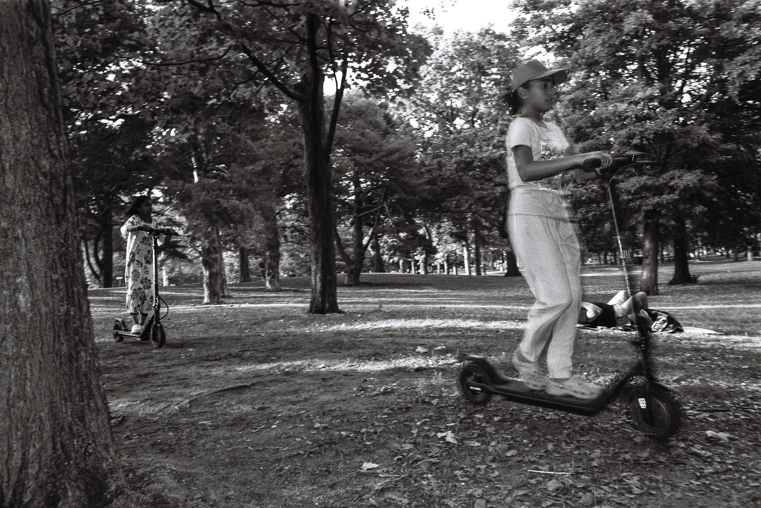 3 Aug35mm27.jpg