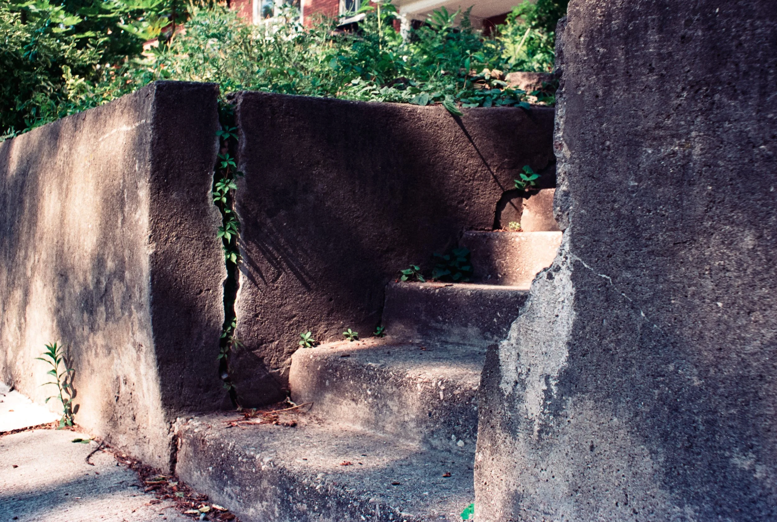 2 Aug35mm_1.jpg