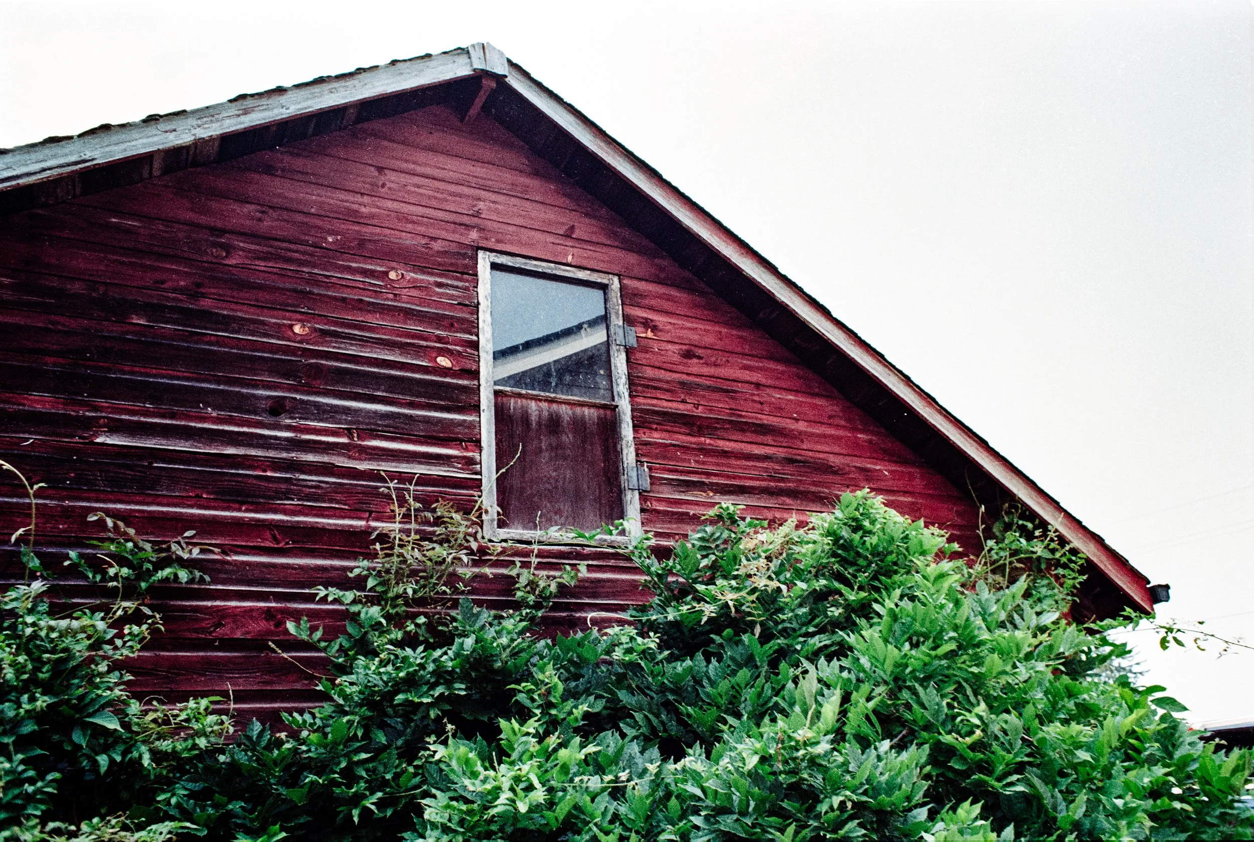 Image (27).jpg