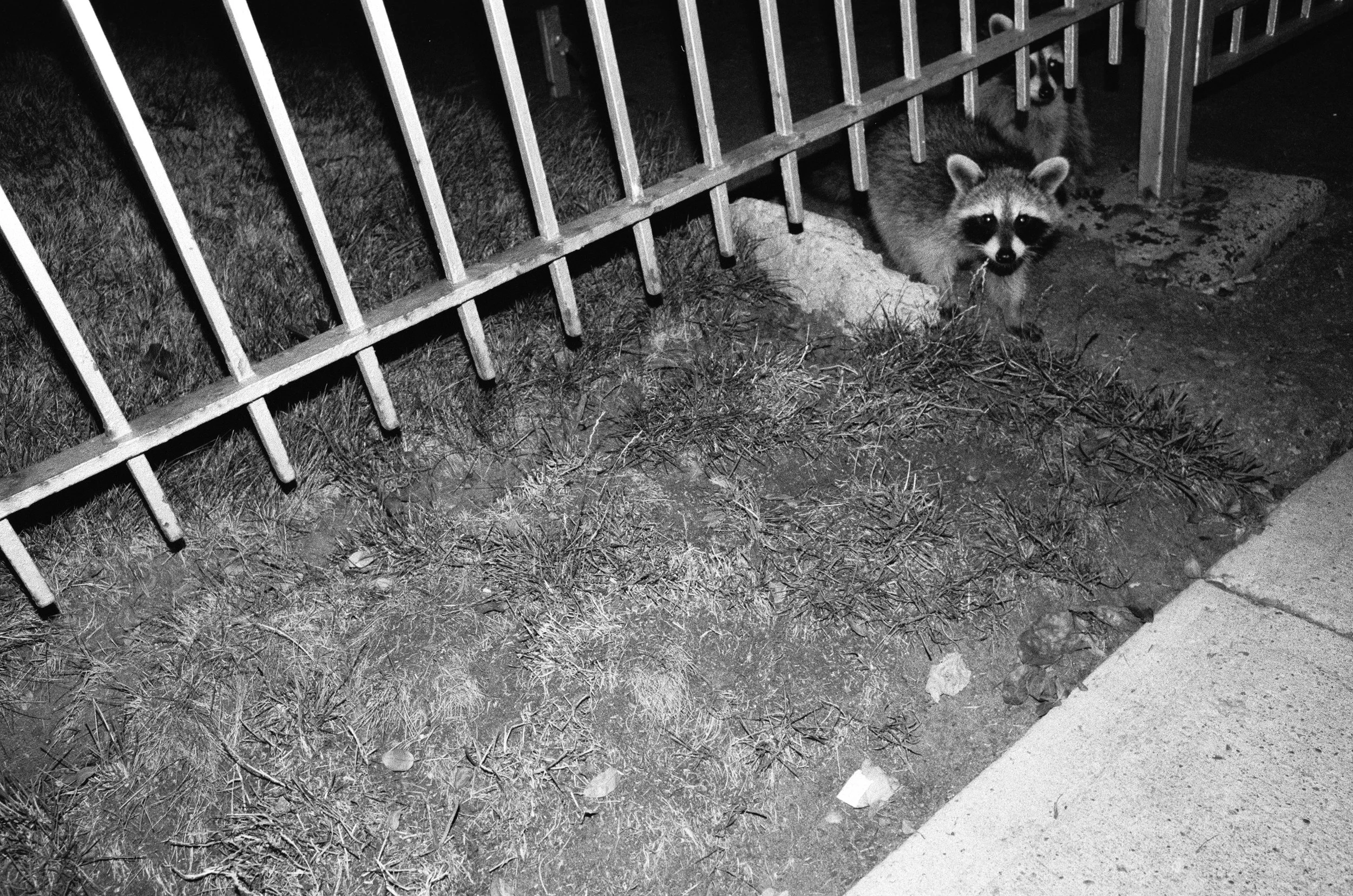 8 Aug35mm12.jpg