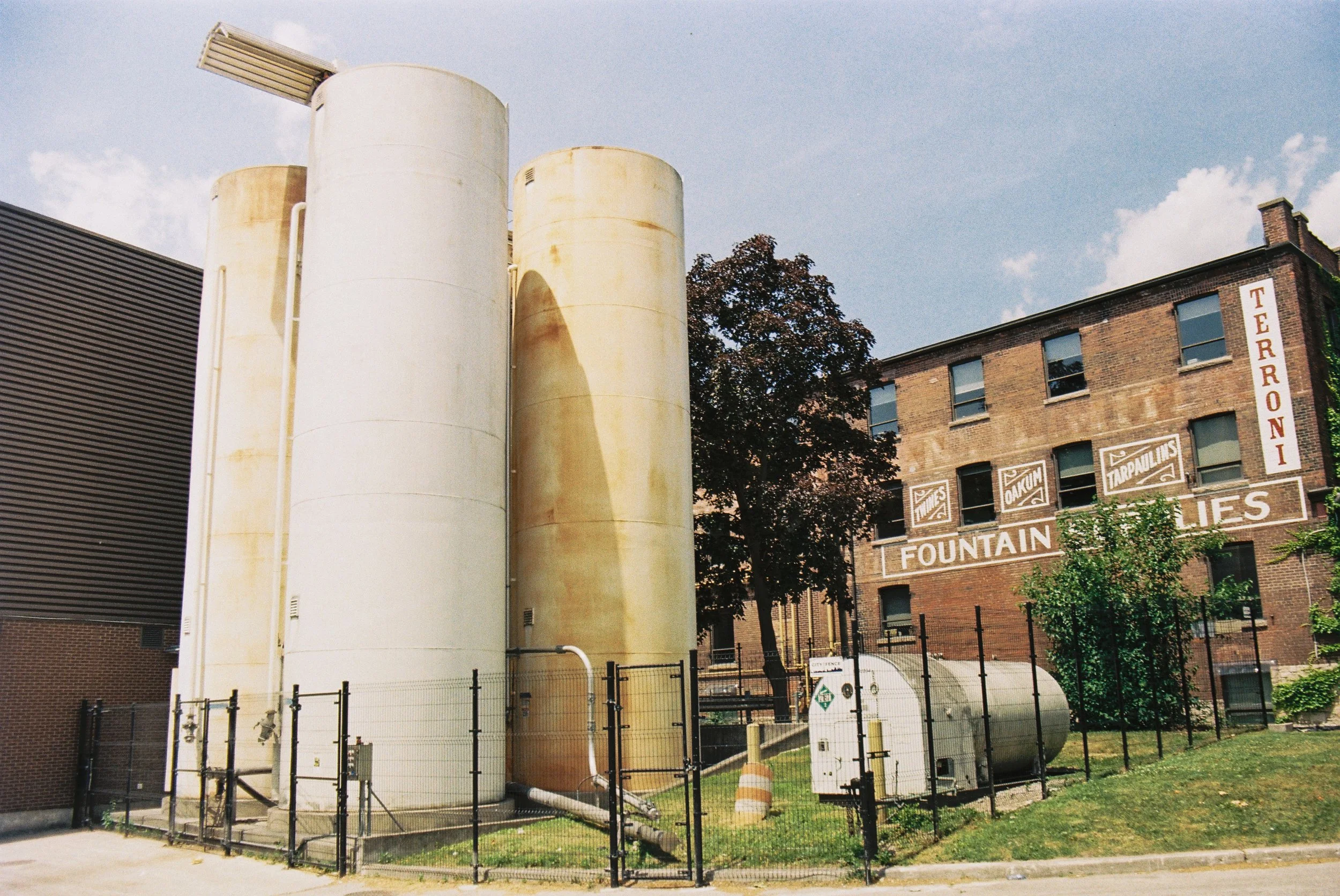 11 june35mm12.jpg