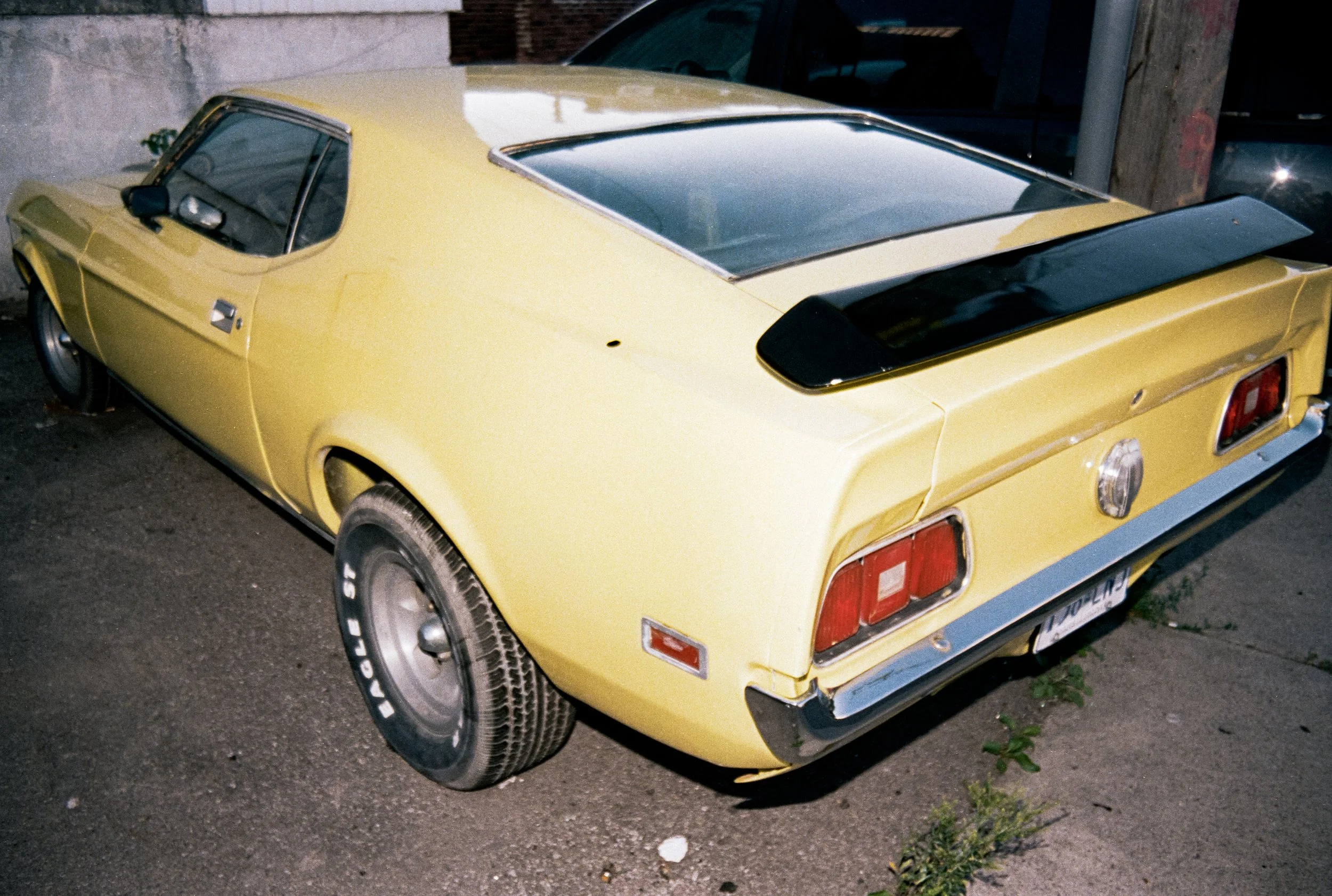 Image (27).jpg