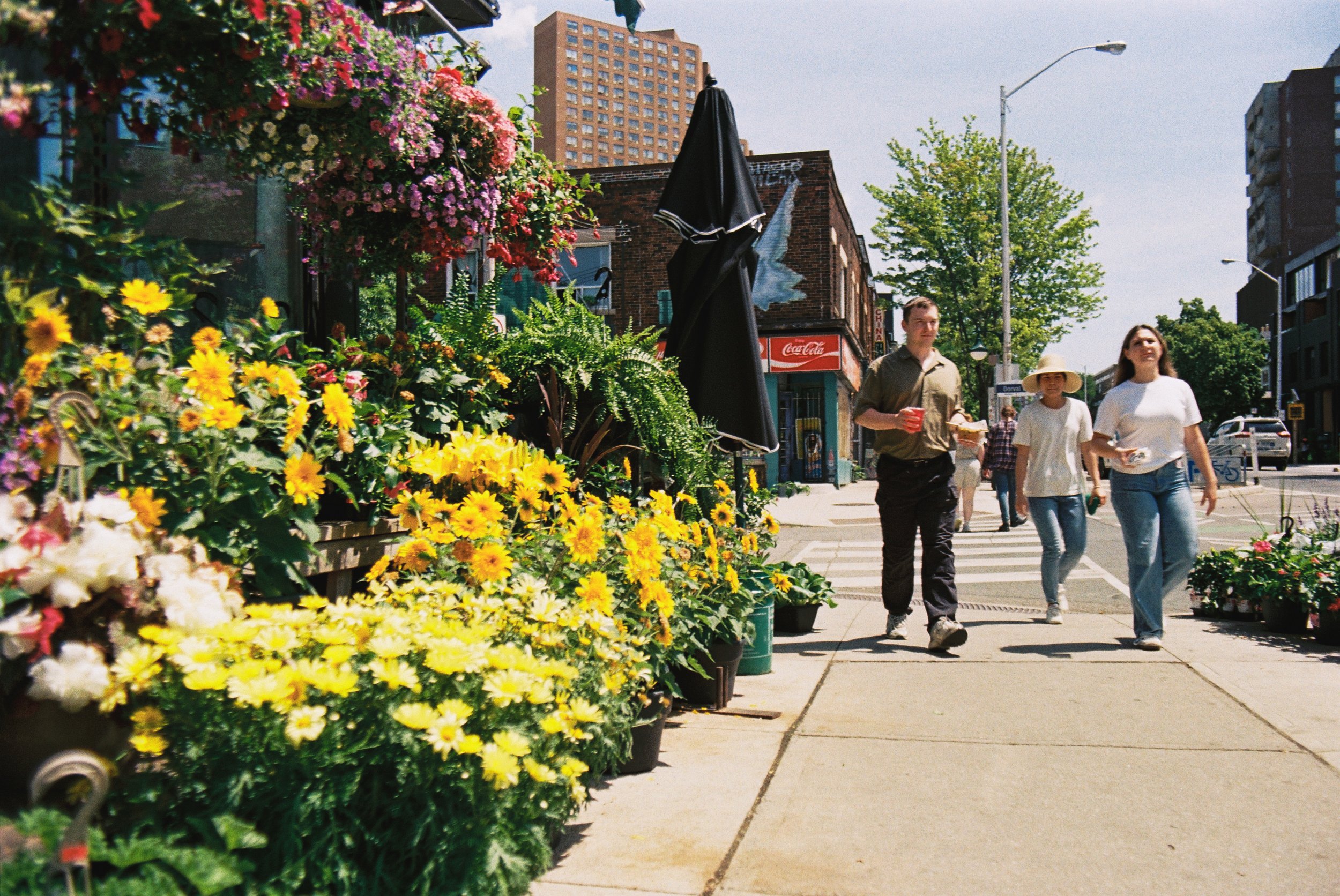 11 june35mm2.jpg