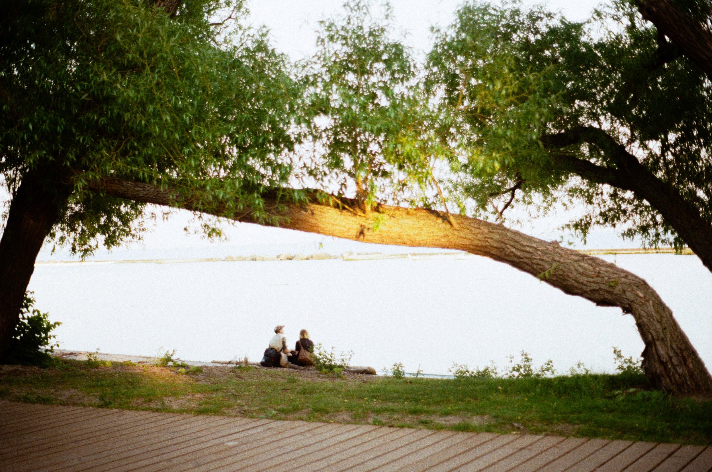 1 june35mm11.jpg