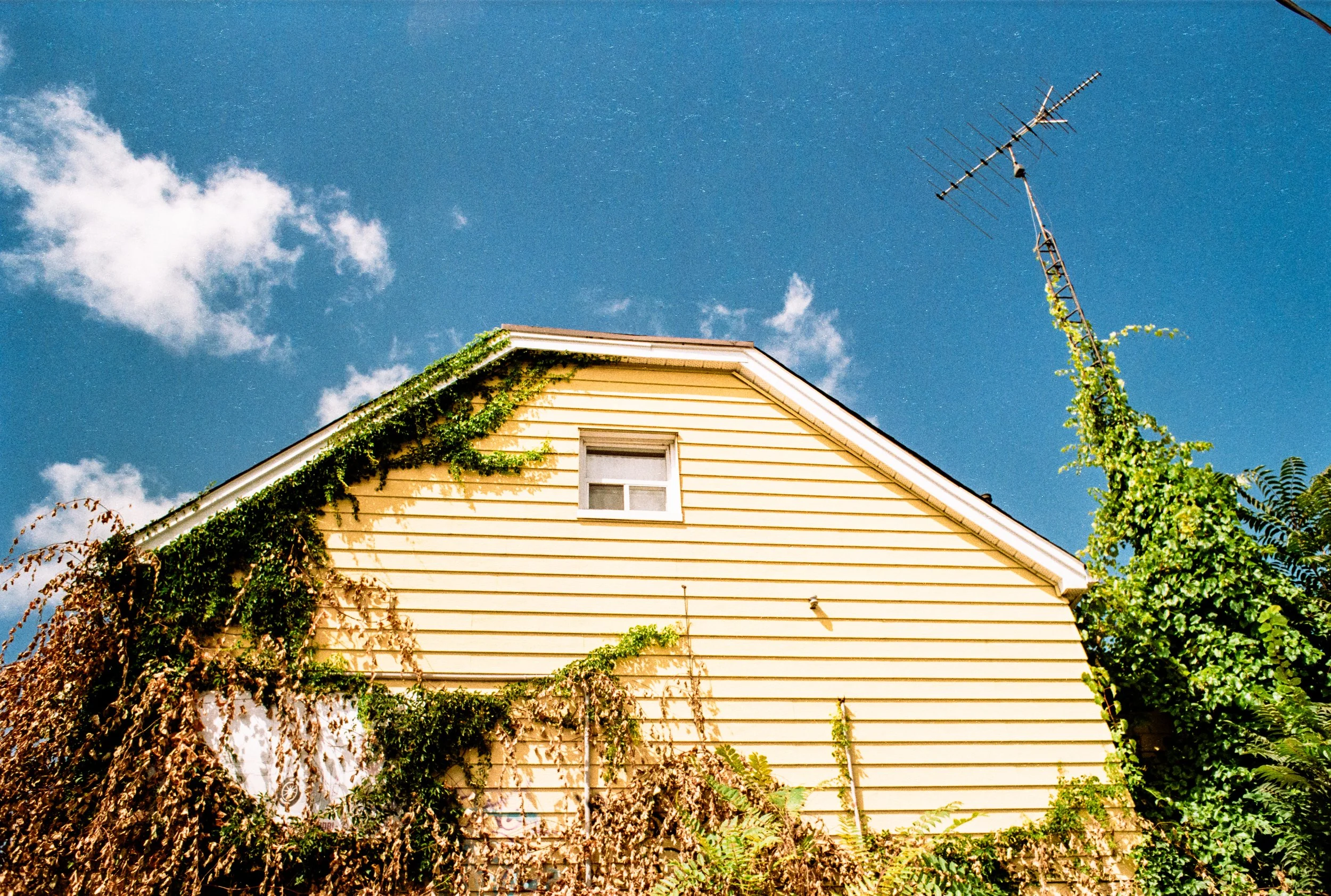 17 Aug35mm_6.jpeg