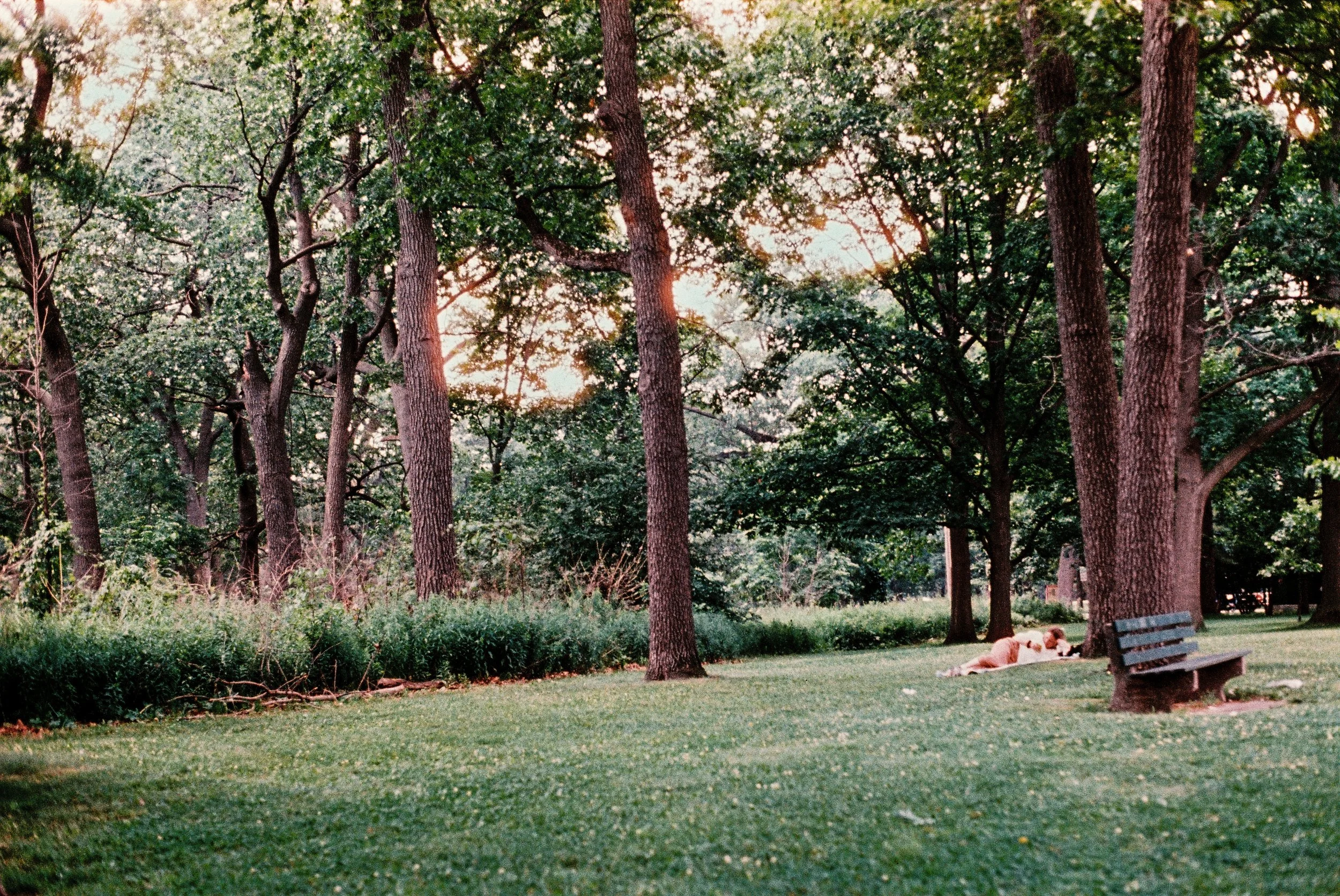4 june35mm49.jpg