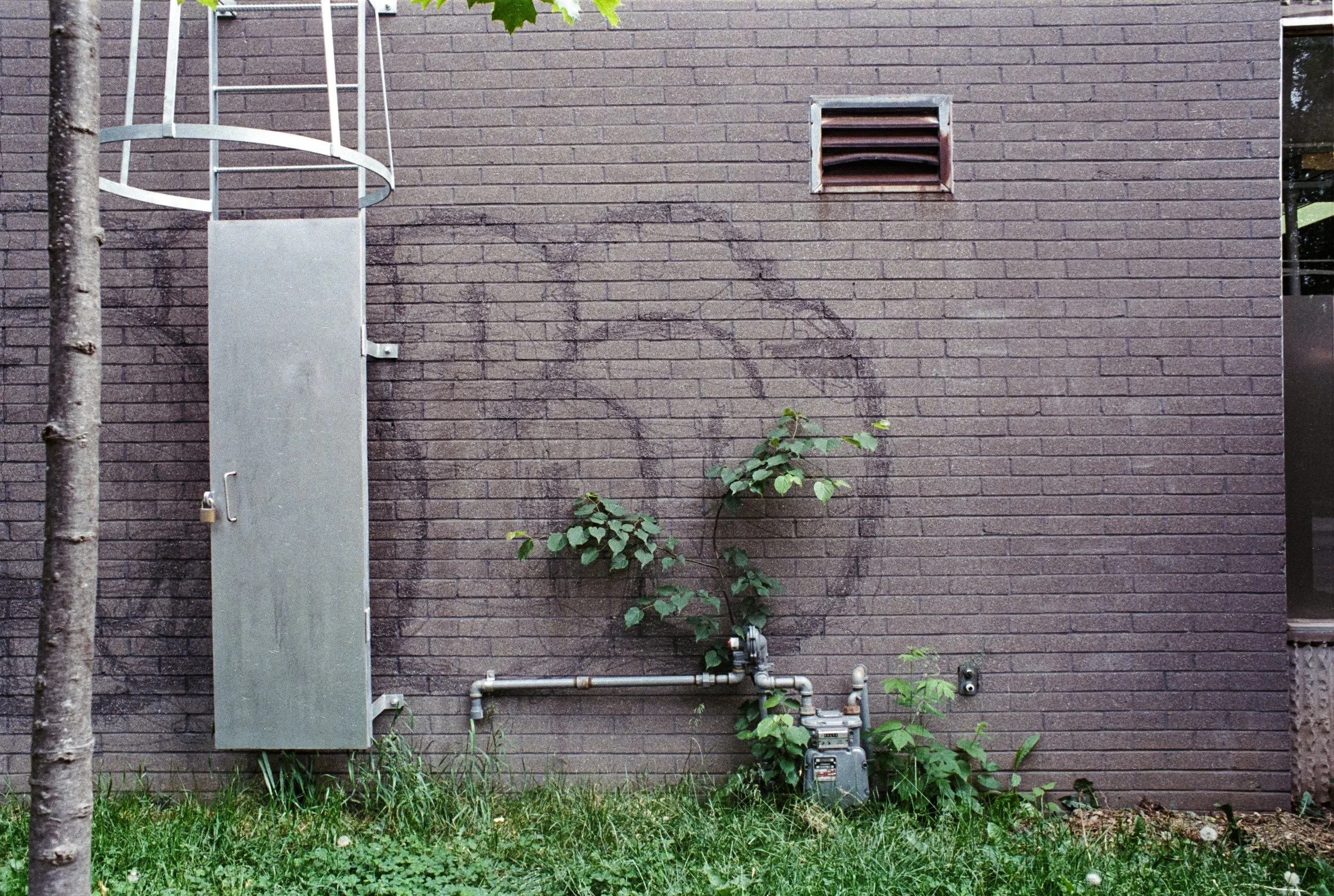 Image (11).jpg