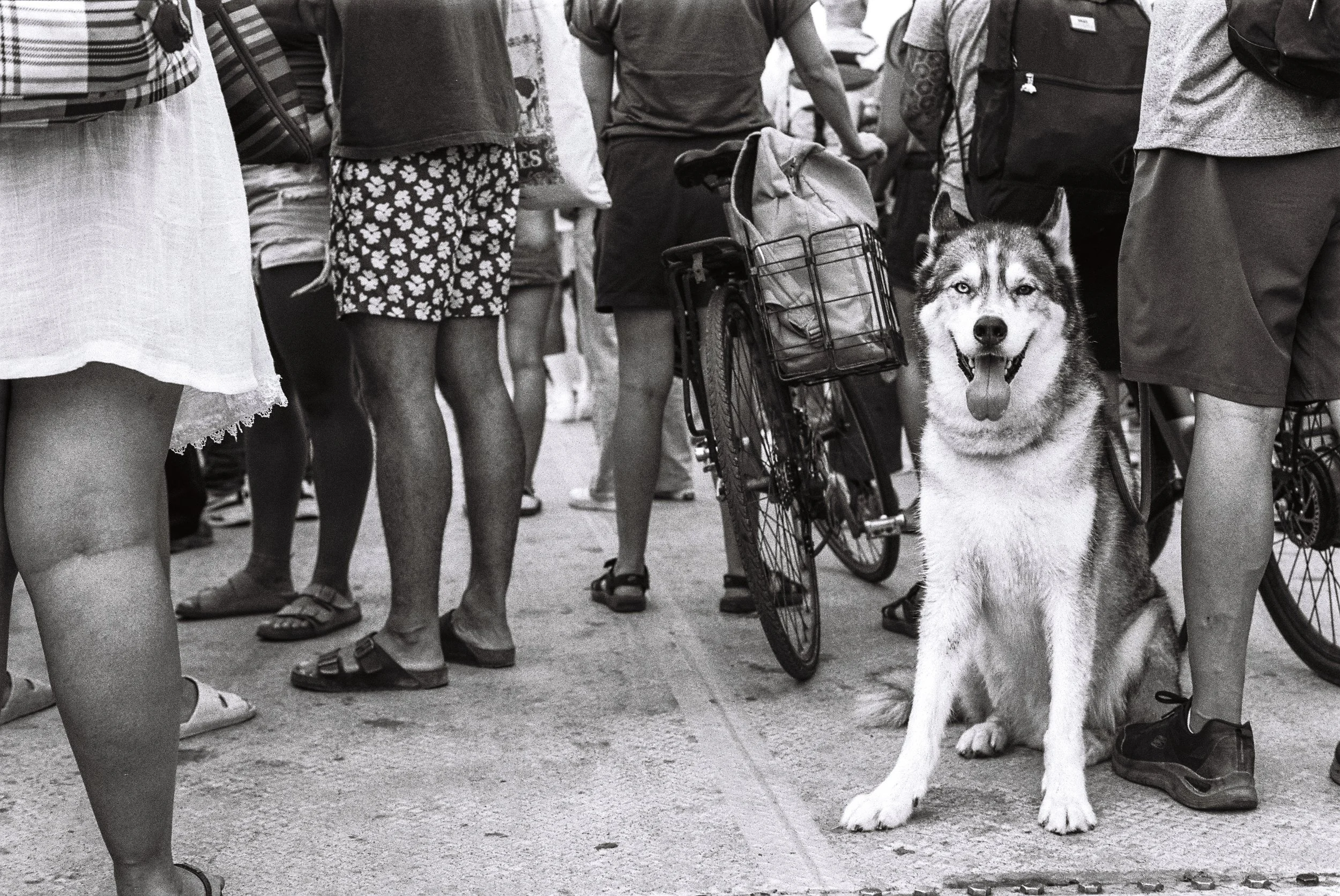 3 Aug35mm19.jpg