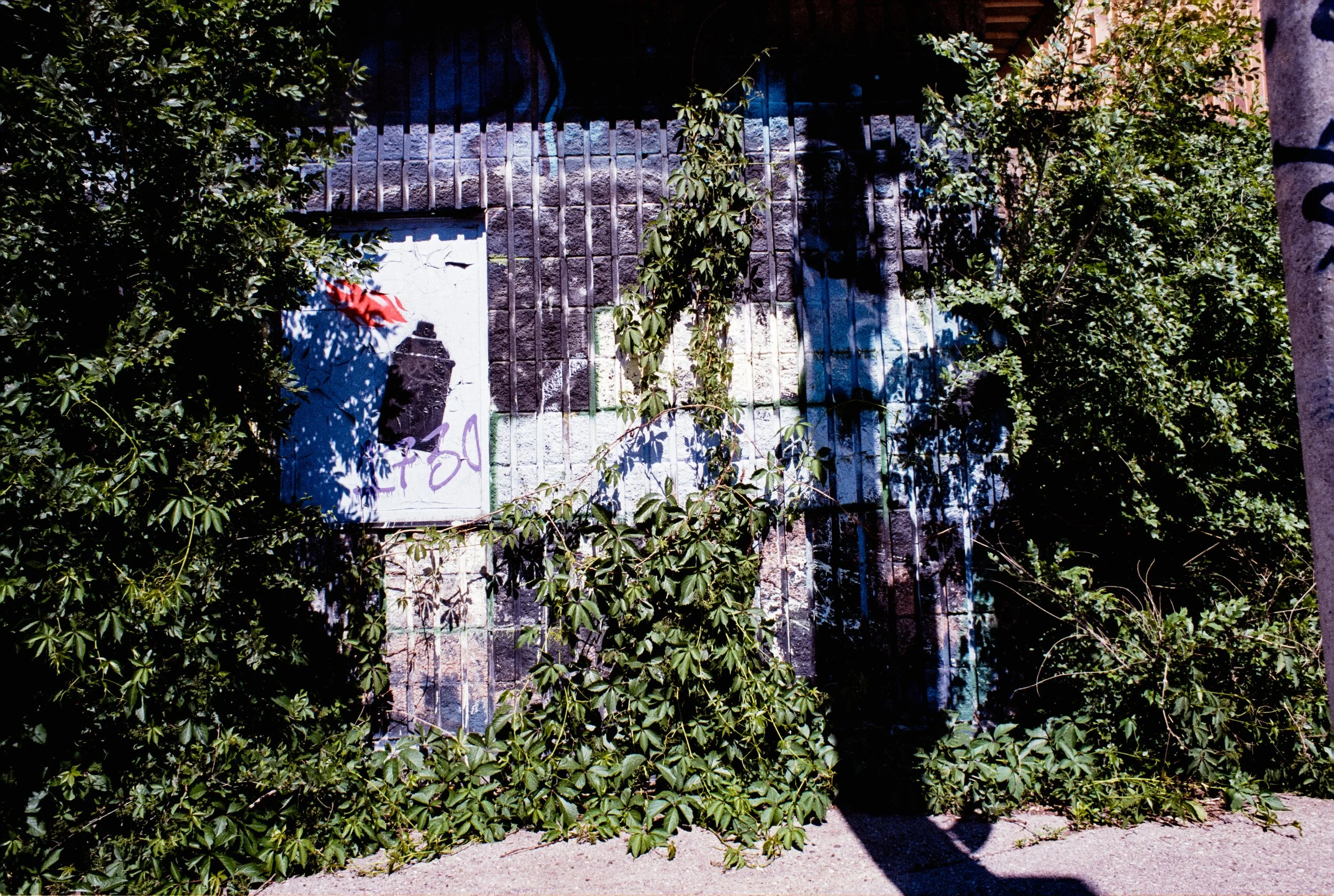 Image (16).jpg
