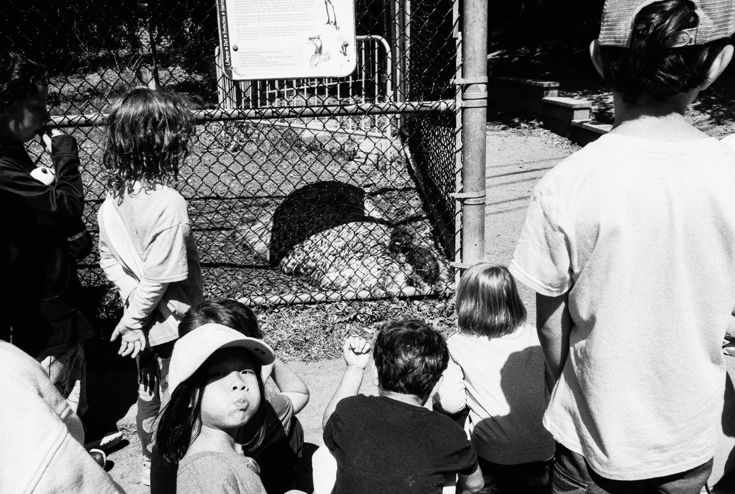 21 Aug35mm_2.jpg