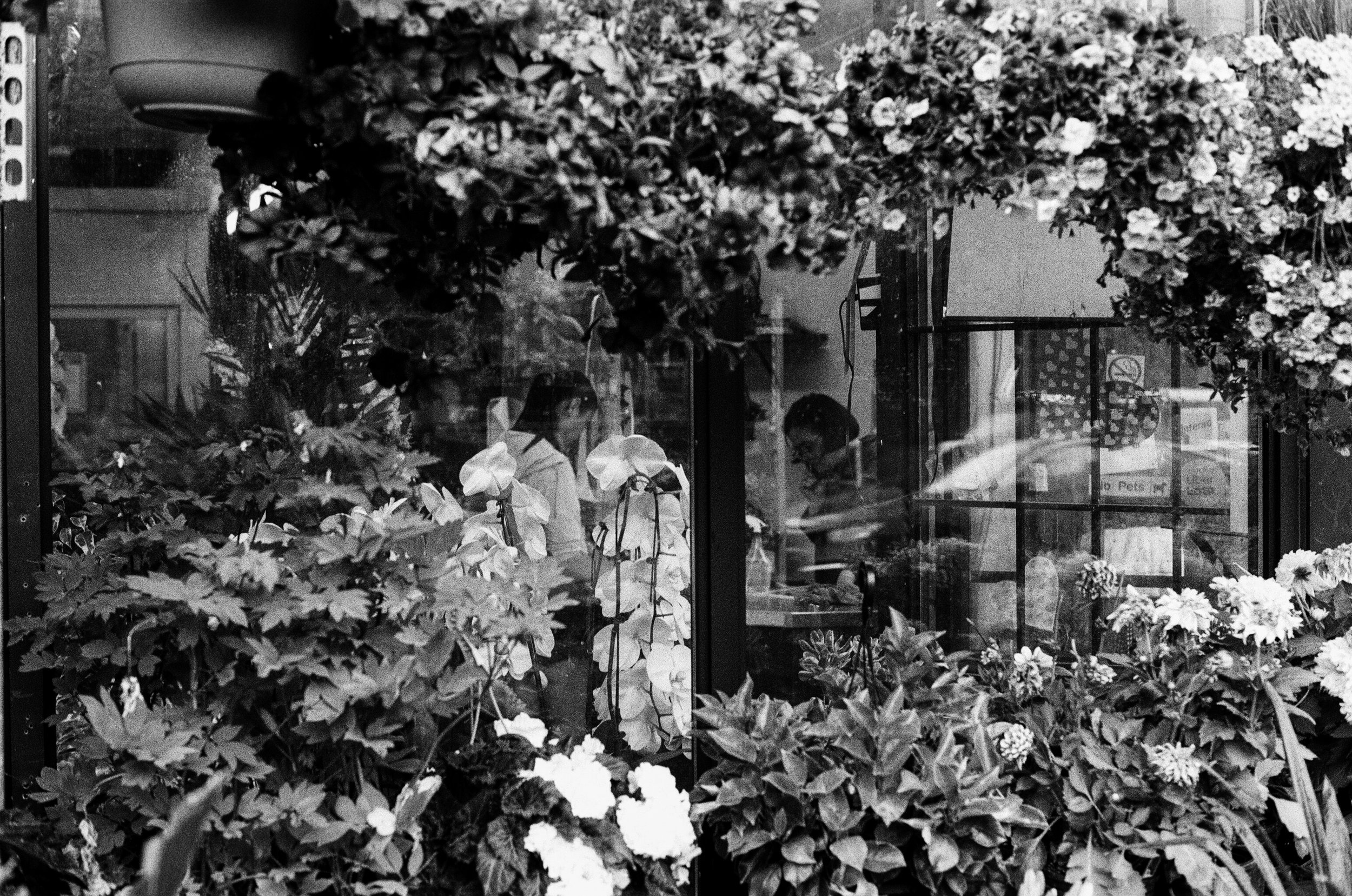 5 june35mm98.jpg