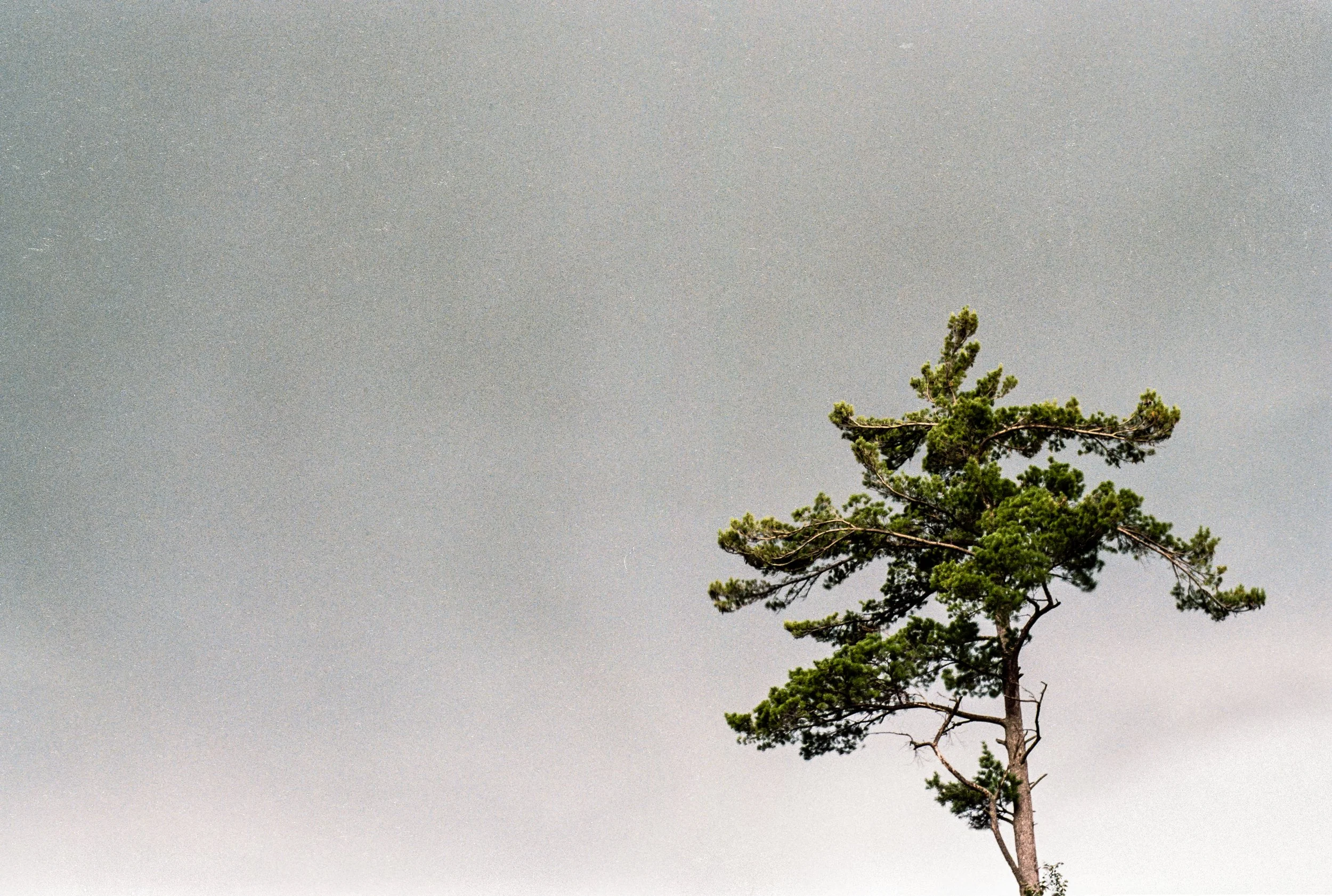 Image (31).jpg