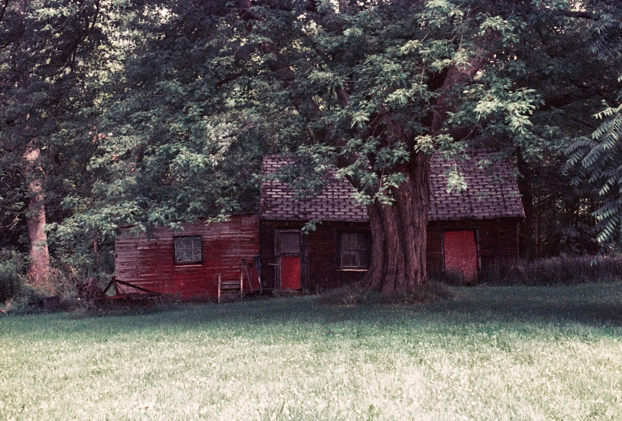 Image (14).jpg