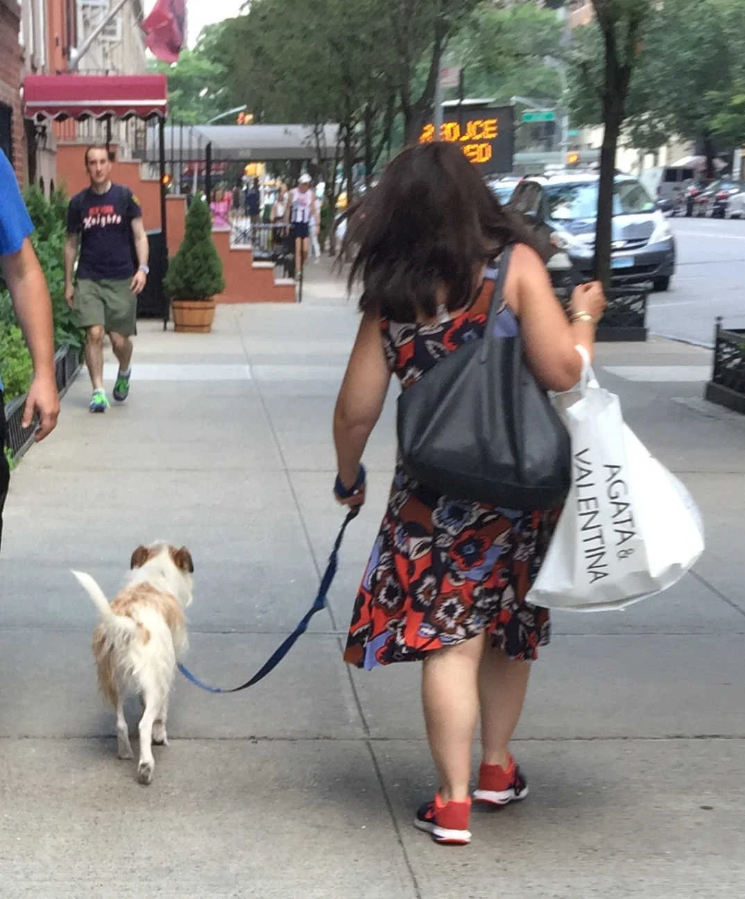 Trainer demonstrating loose leash walking during adolescent dog training class near me in Manhattan.