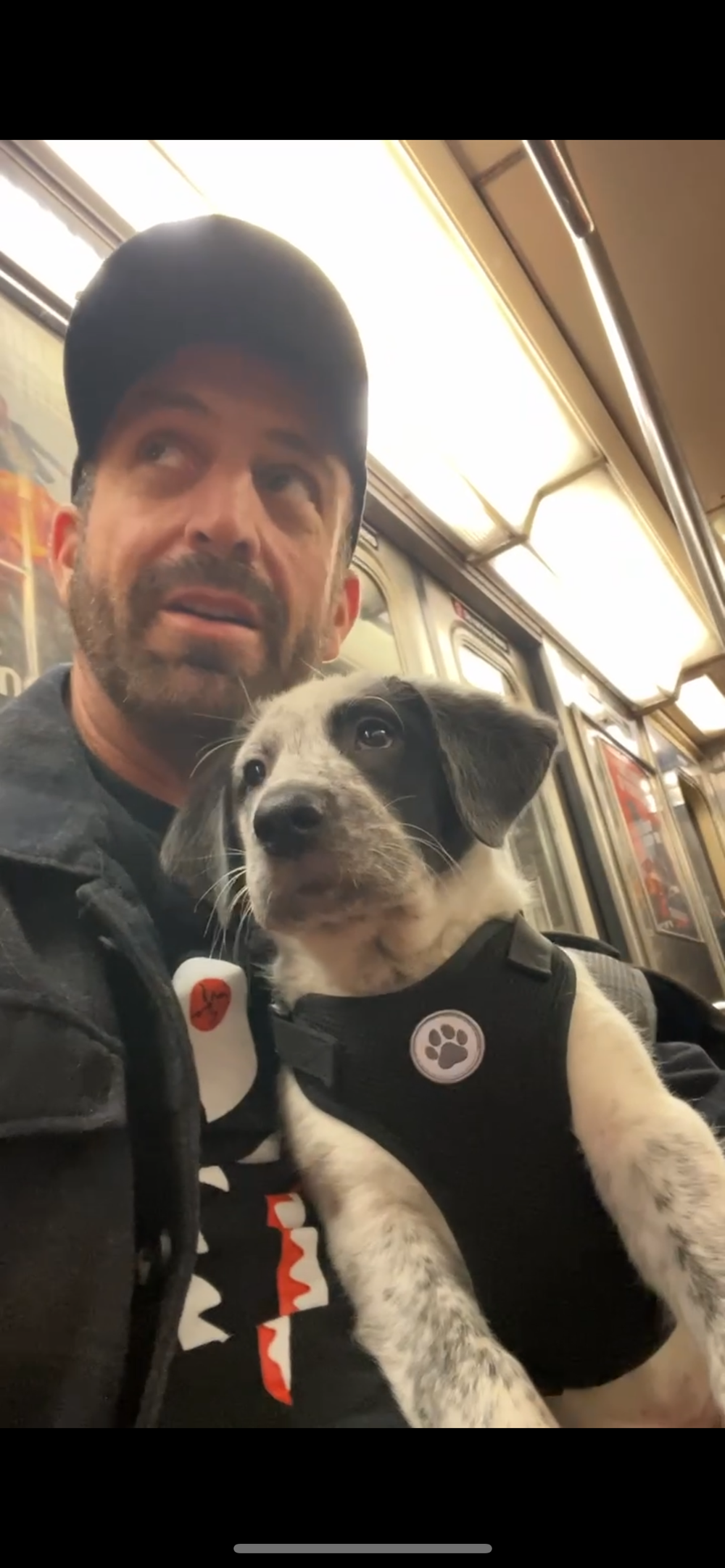 Trainer and dog doing desensitization work in the New York City subway — real-environment reactive dog training