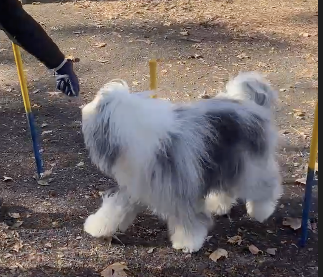 Screenshot 2025-01-12 at 12.50.15 PM.png