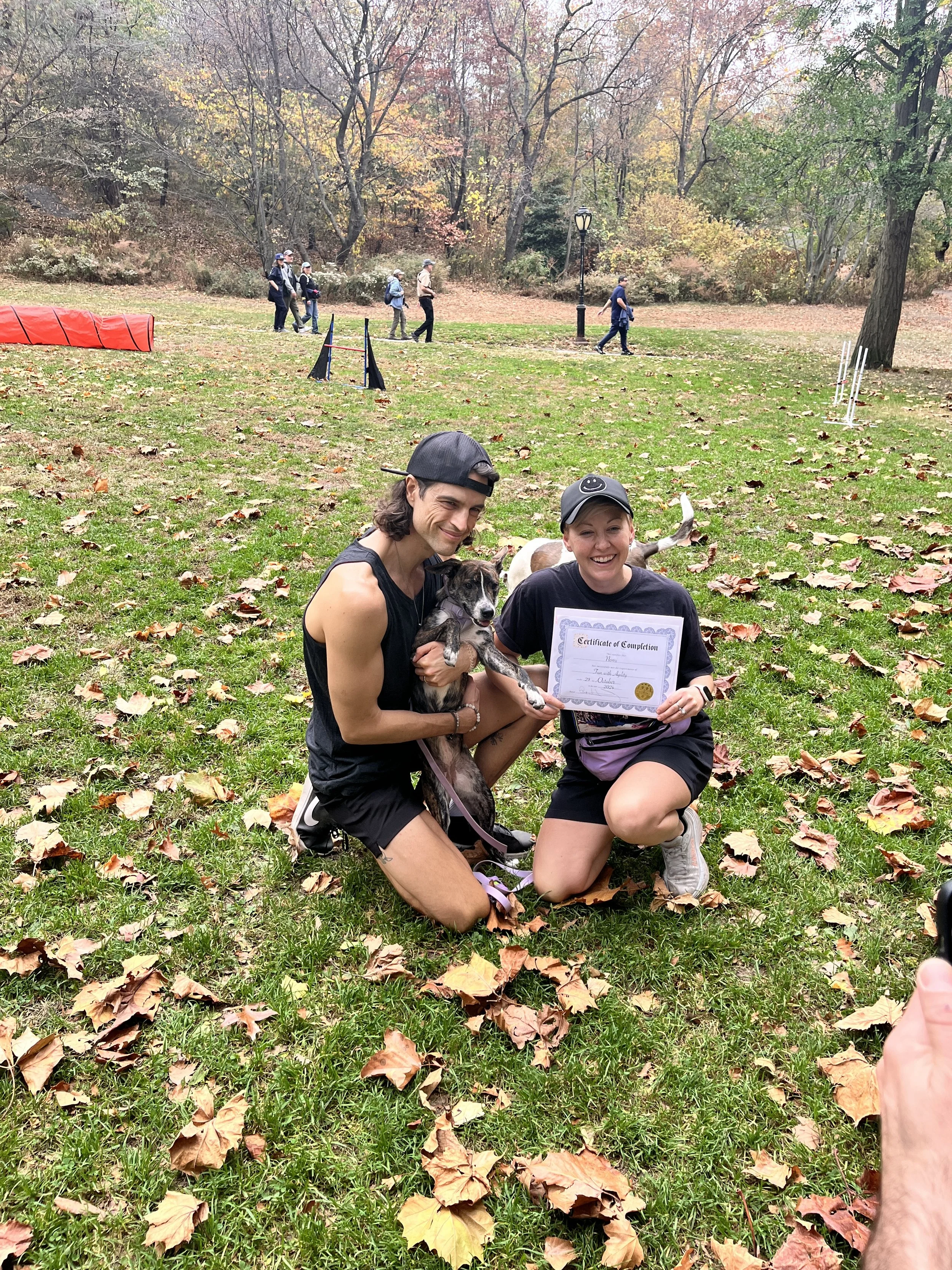 Agility graduation—Nomi posing after completing PJH Dog Training’s class.