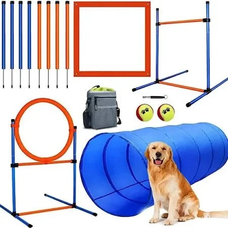 Beginner home agility set with hoop, jumps, weave poles, and tunnel for practice between classes.