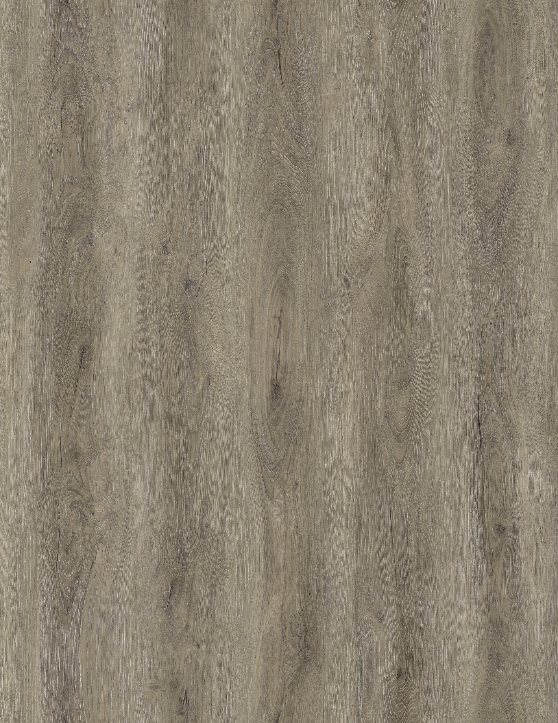 NORTH DAKOTA FLoor Only.jpeg