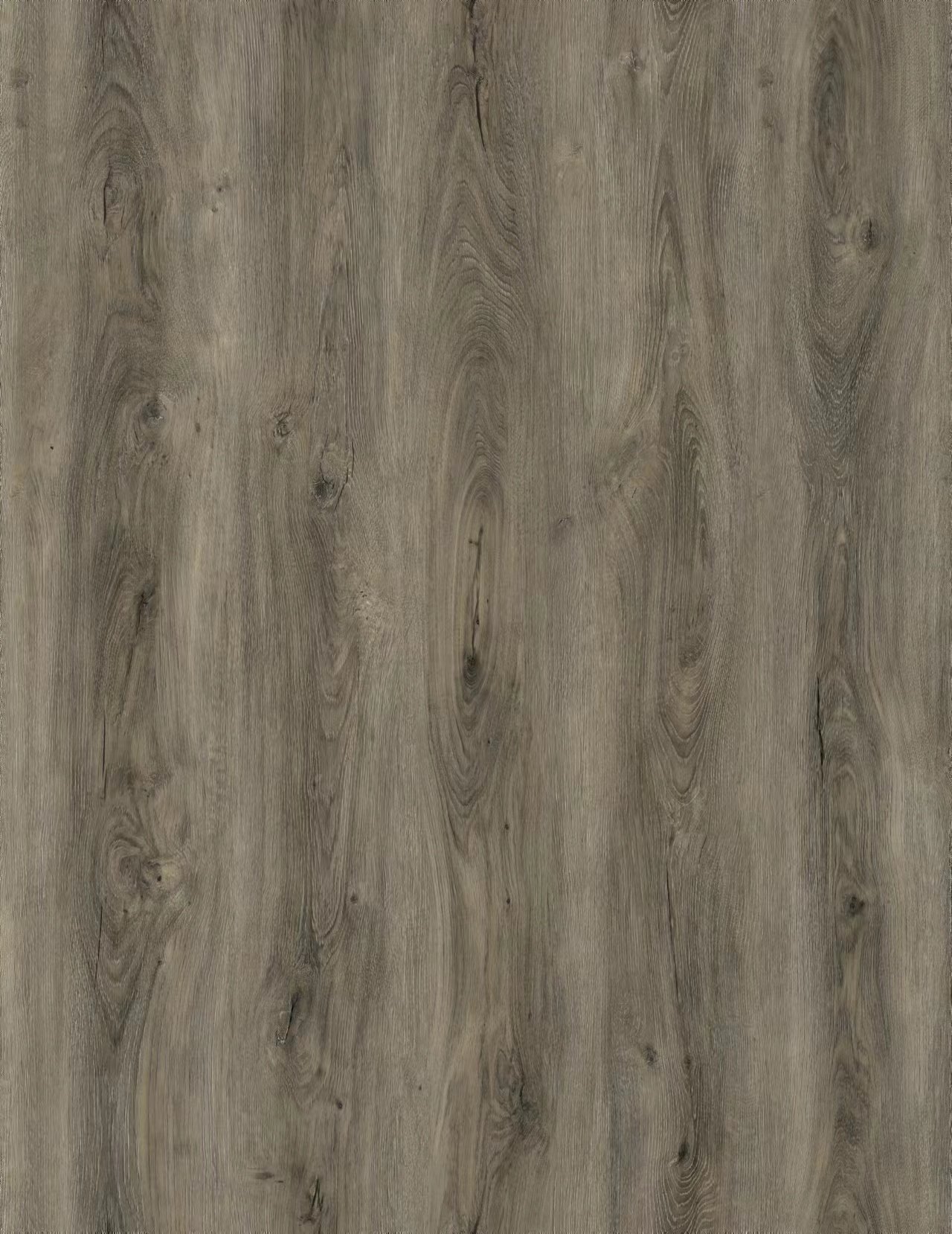 OREGON Floor Only.jpeg