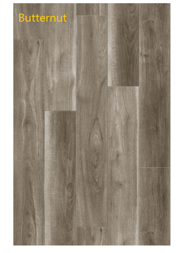 Butternut -8106-1 .png
