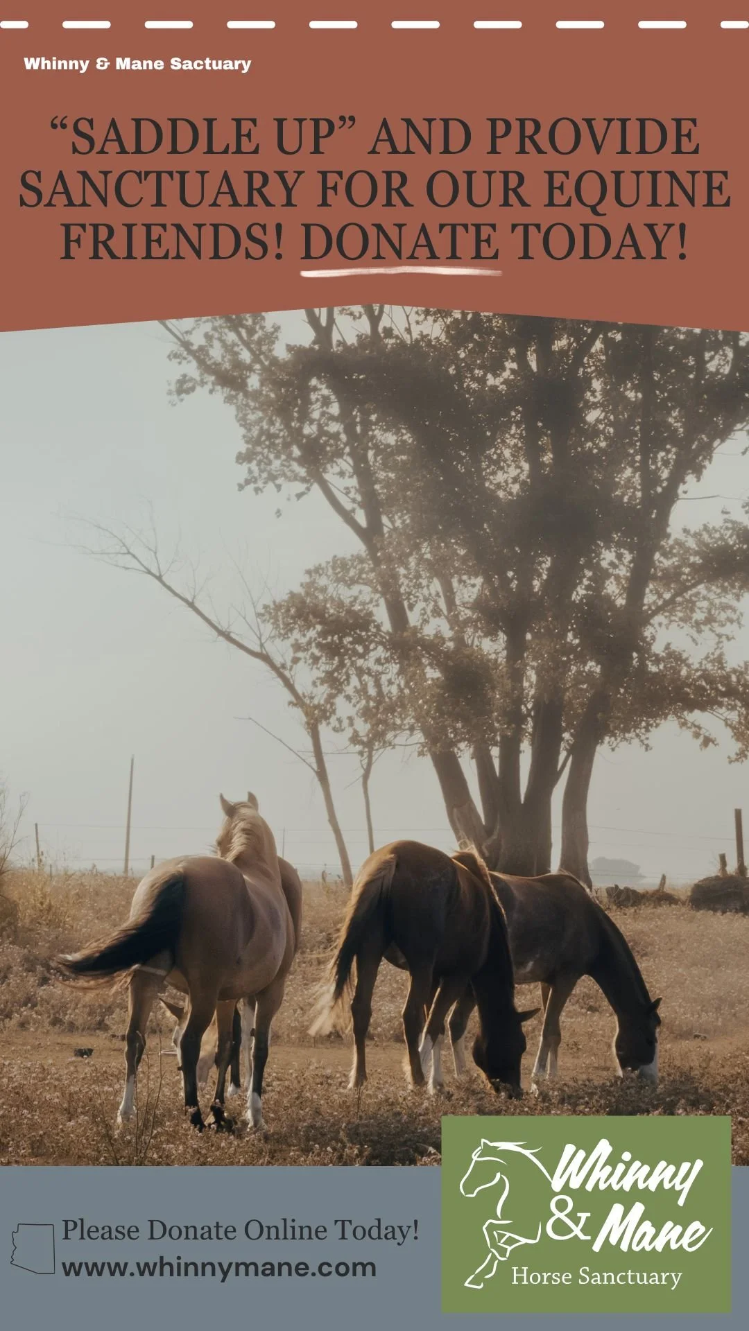 social media mockup for horse sanctuary