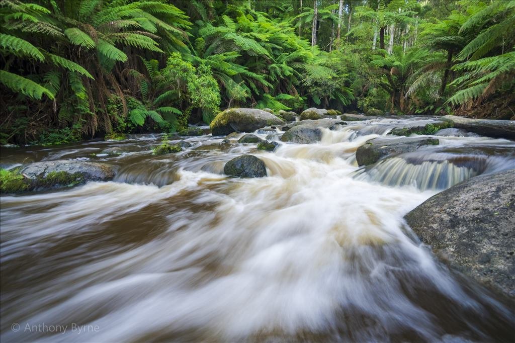 Toorongo Falls Cascades - 02-02-2020.JPG