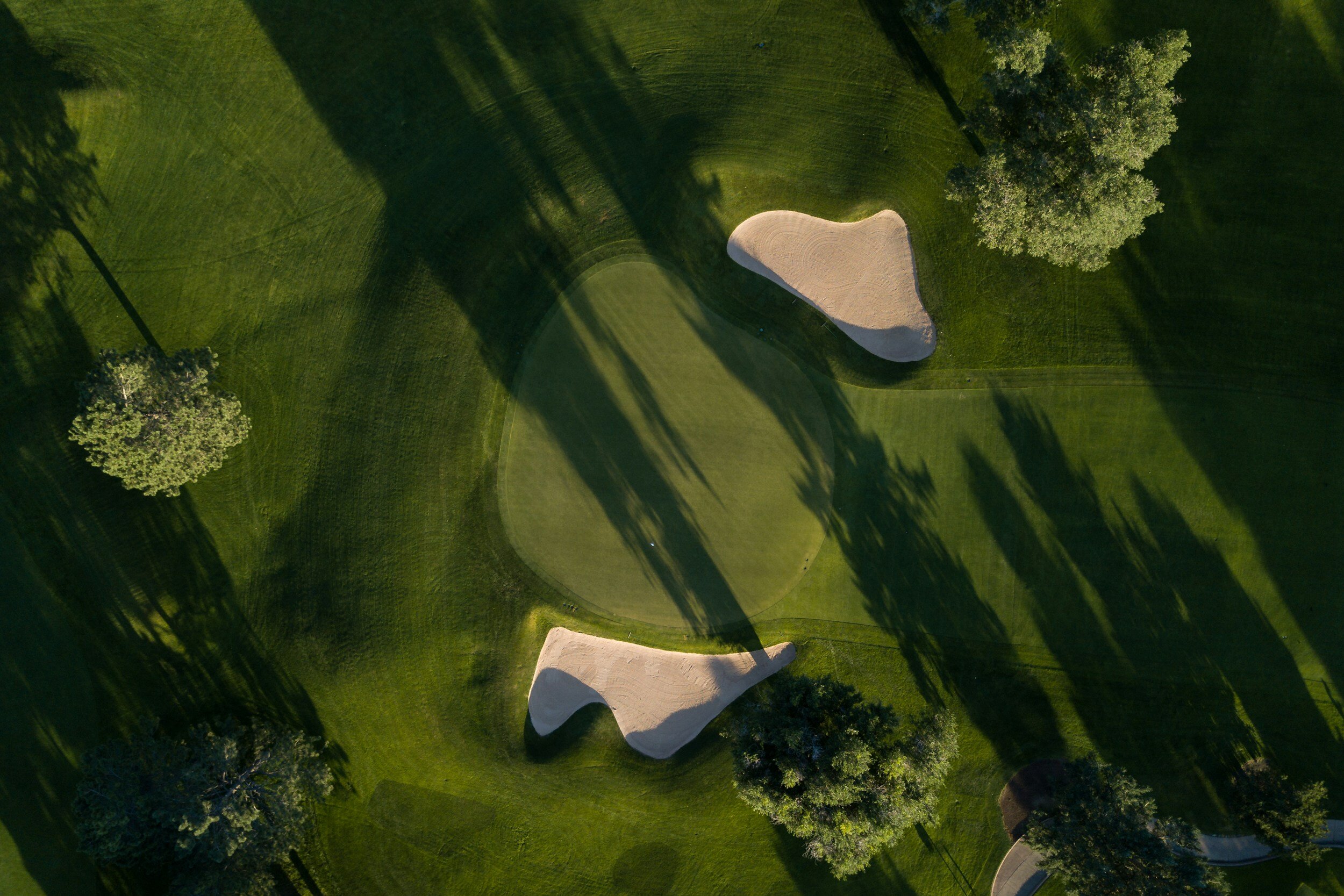 Golf Tournament 2024