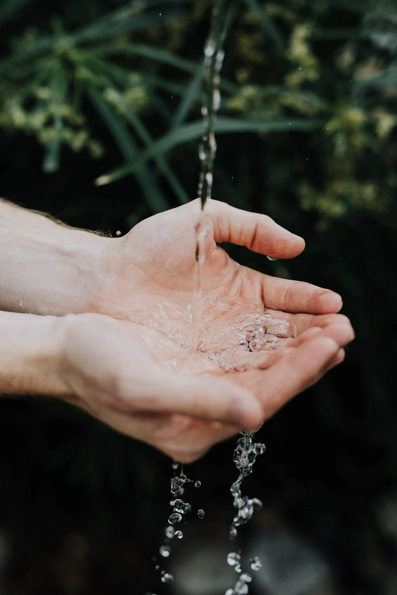 Letting Go. Letting Be. Letting In.