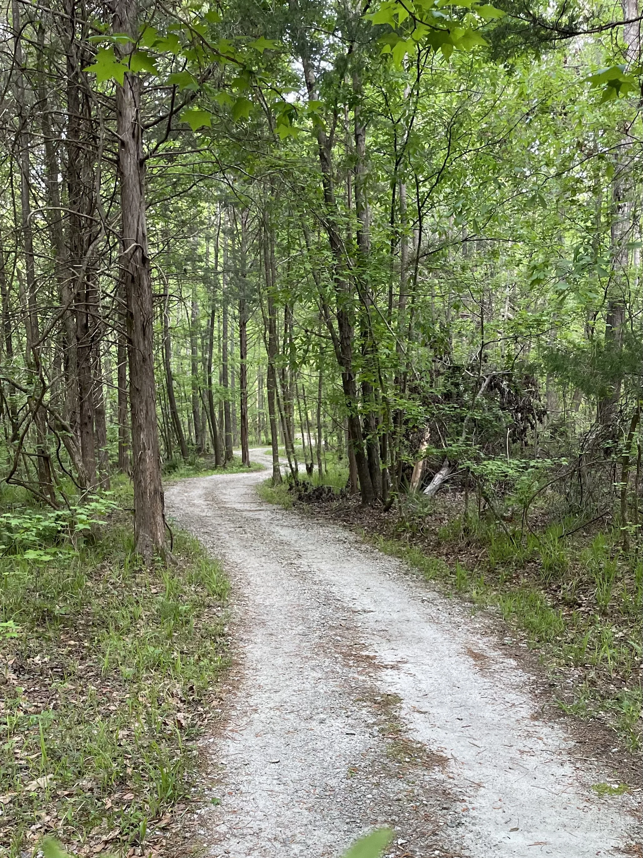 A Journey of a Thousand Miles