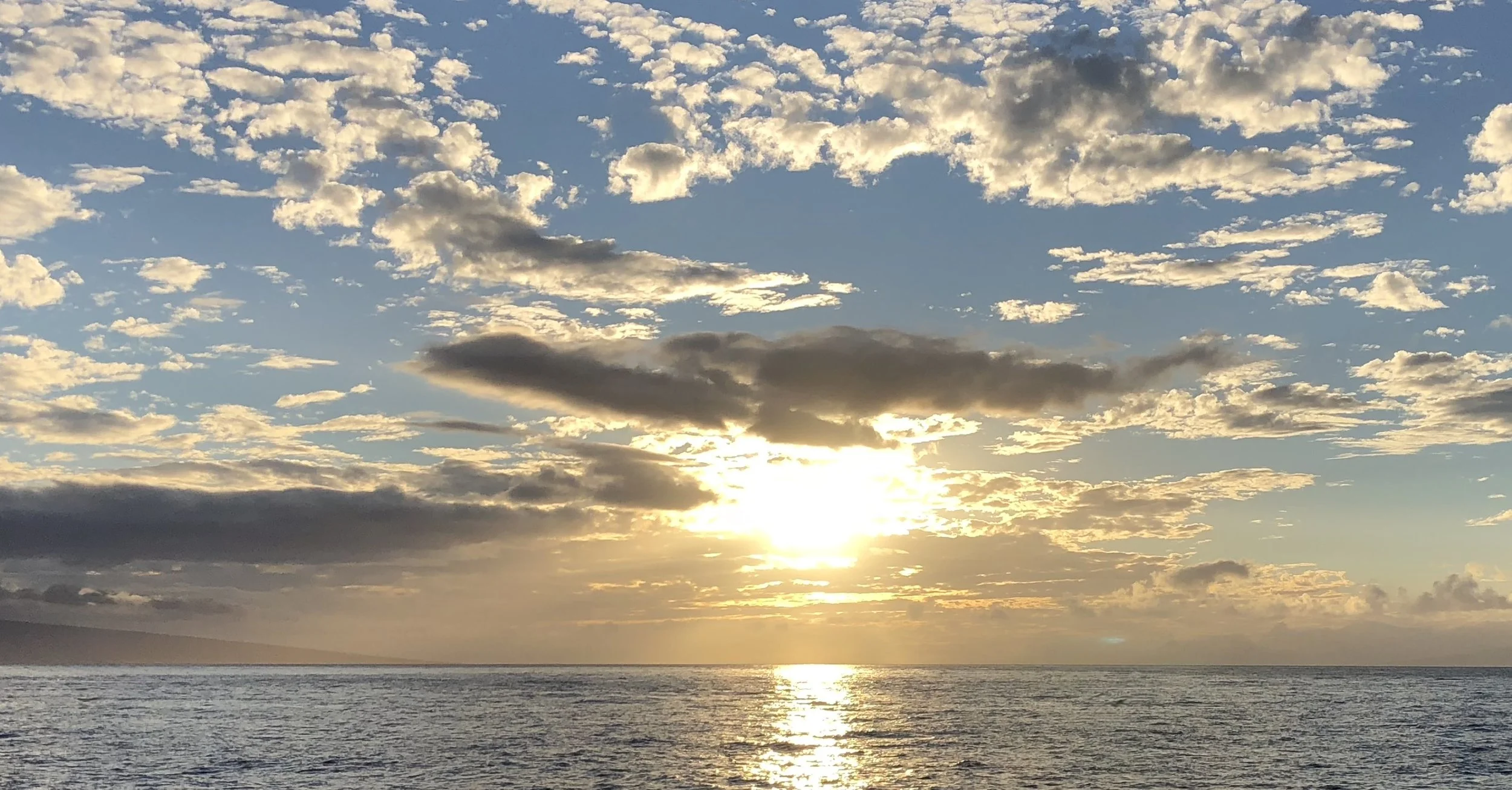 🌿 A Gentle Reflection on the Afterlife