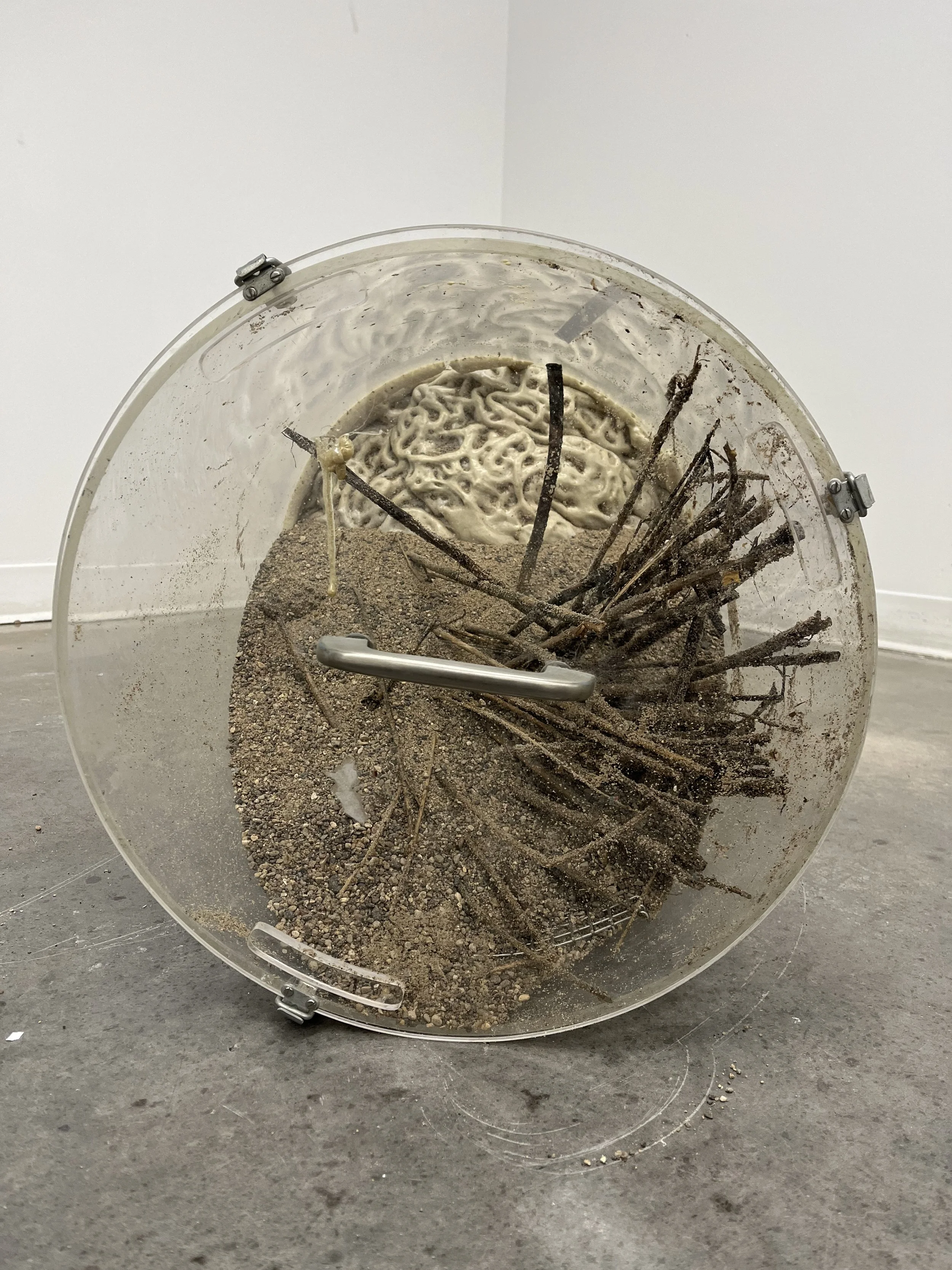 Glass Cage, 4x3x2ft, sand, twigs, spray foam, 2023
