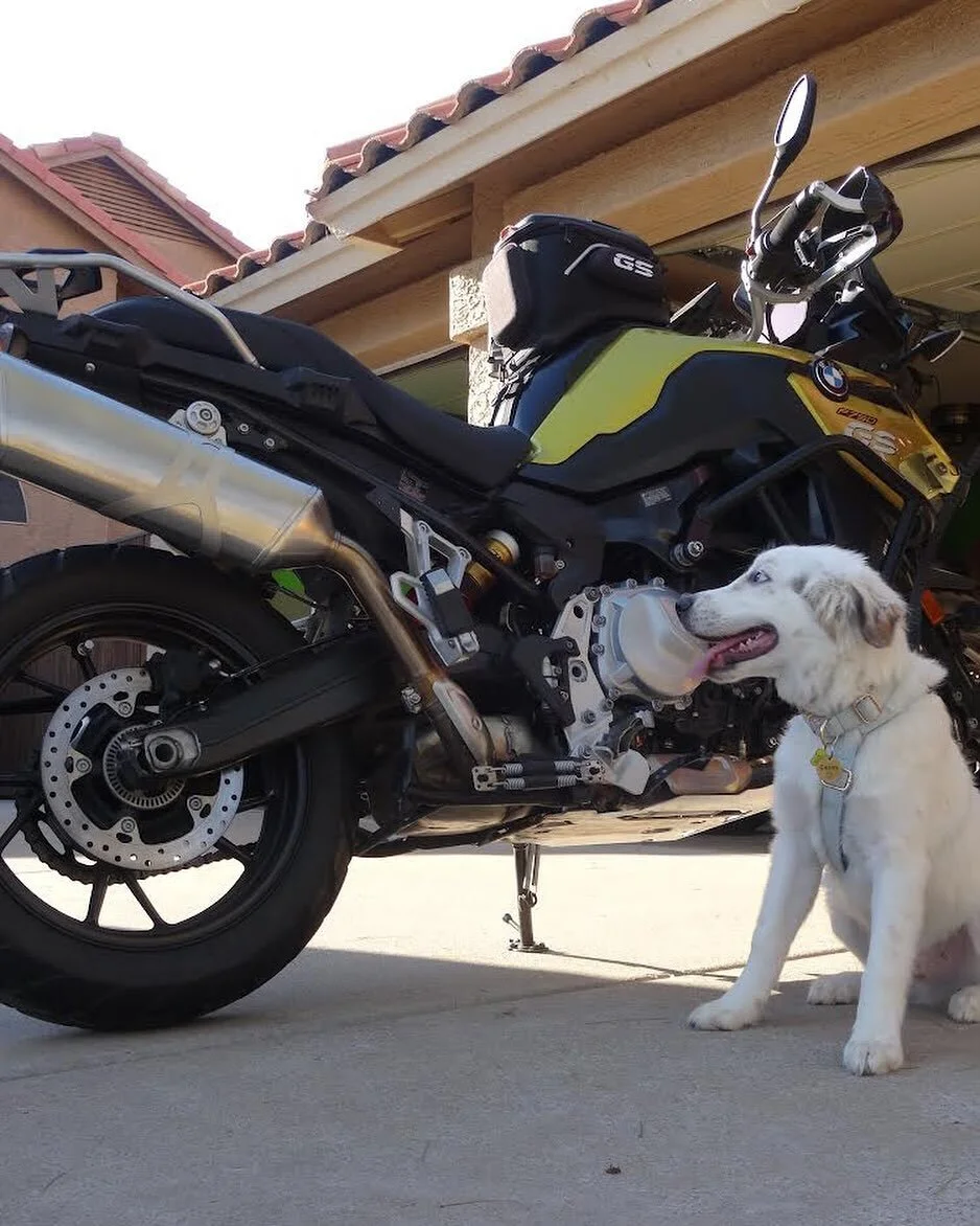 😎

#dog #doglover #greatpyrenees #bordercollie #motorcycle #bike #bikelife #copilotcasey #dogonbike #travel #dogtraining #dogtravel #bmw #bmwtour #bmwmotorrad #bmw750gs #makelifearide